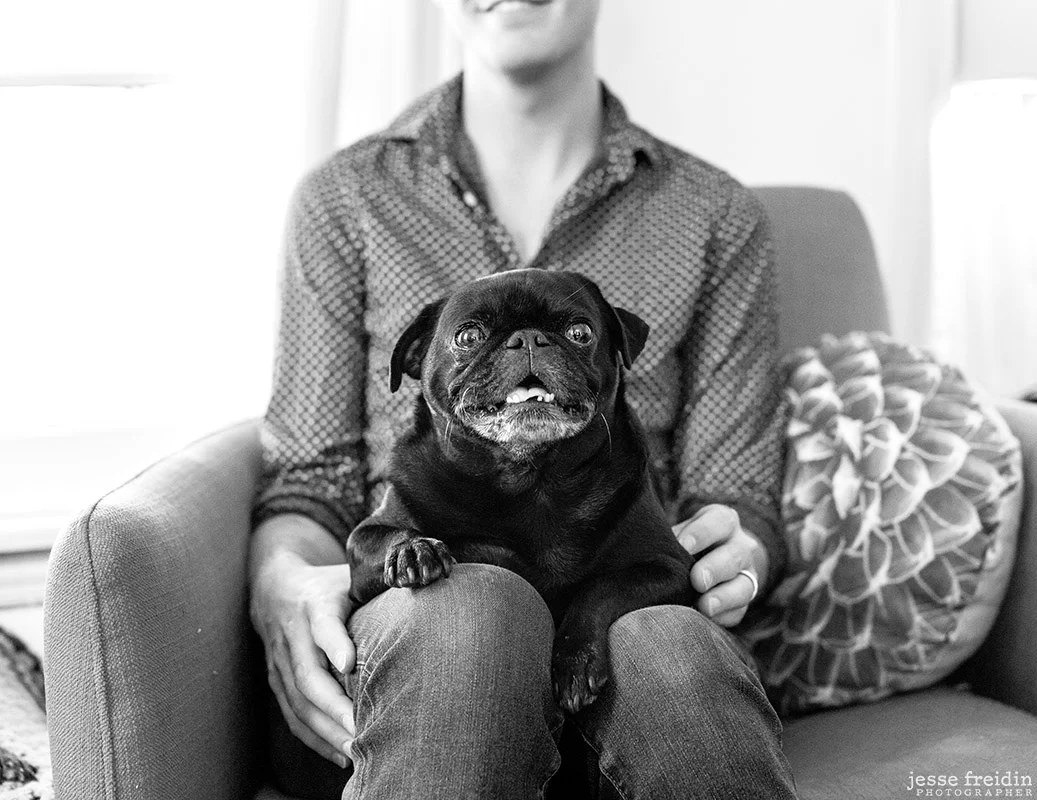 Los Angeles Dog Photographer