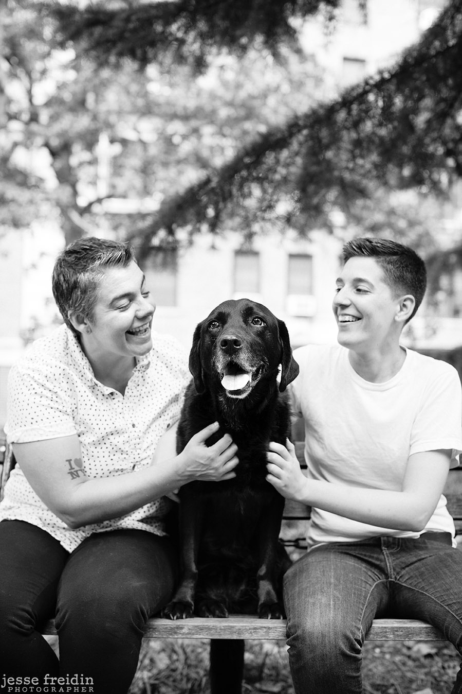 New York Dog Photographer