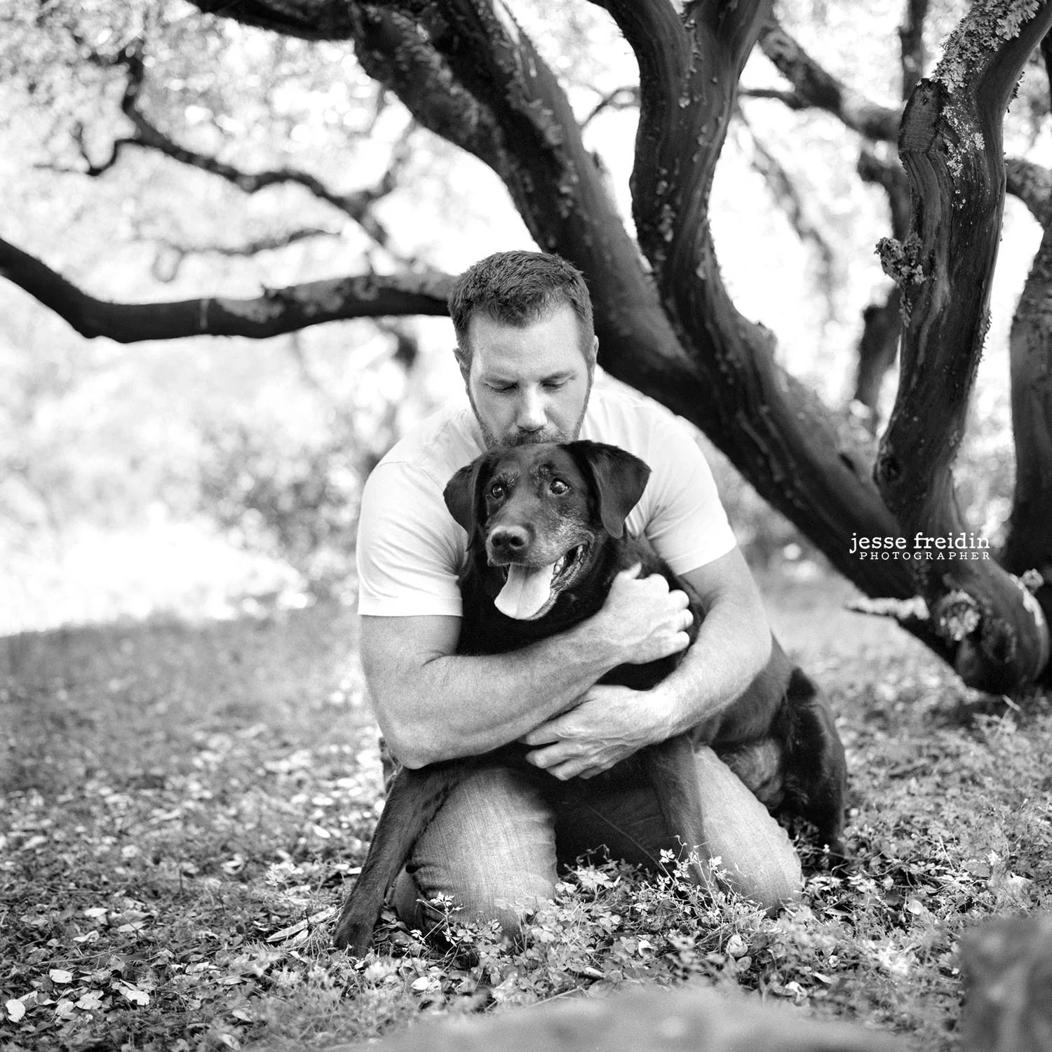 Santa Fe fine art dog photography