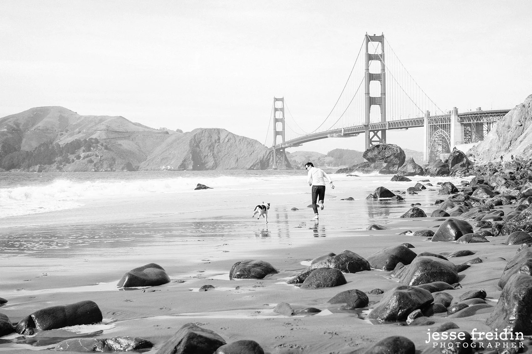 Dog Photographer in San Francisco