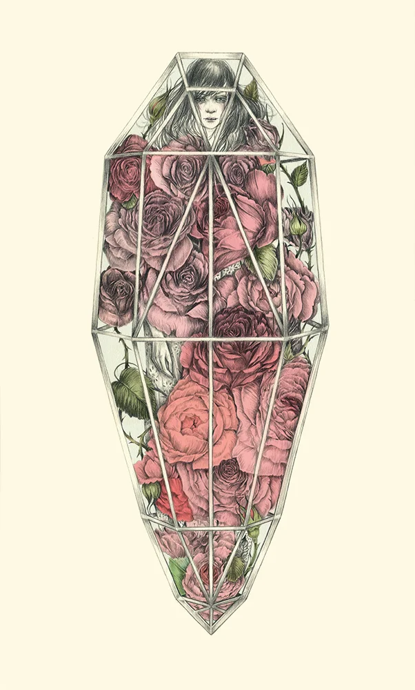 The Glass Coffin