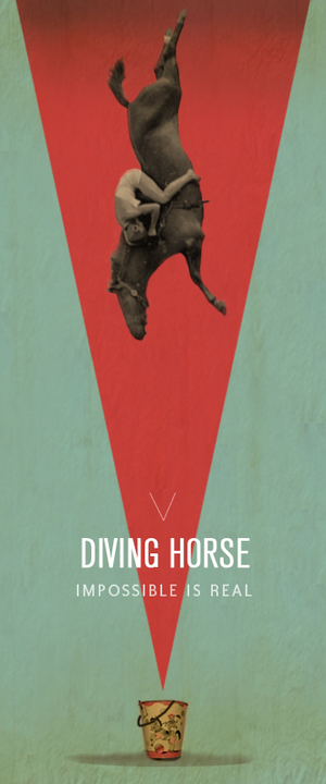 divinghorse.jpg