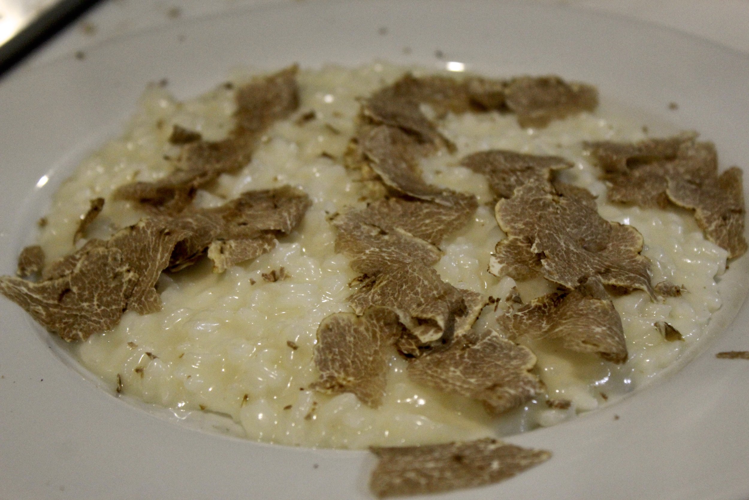  picture of white truffle risotto 