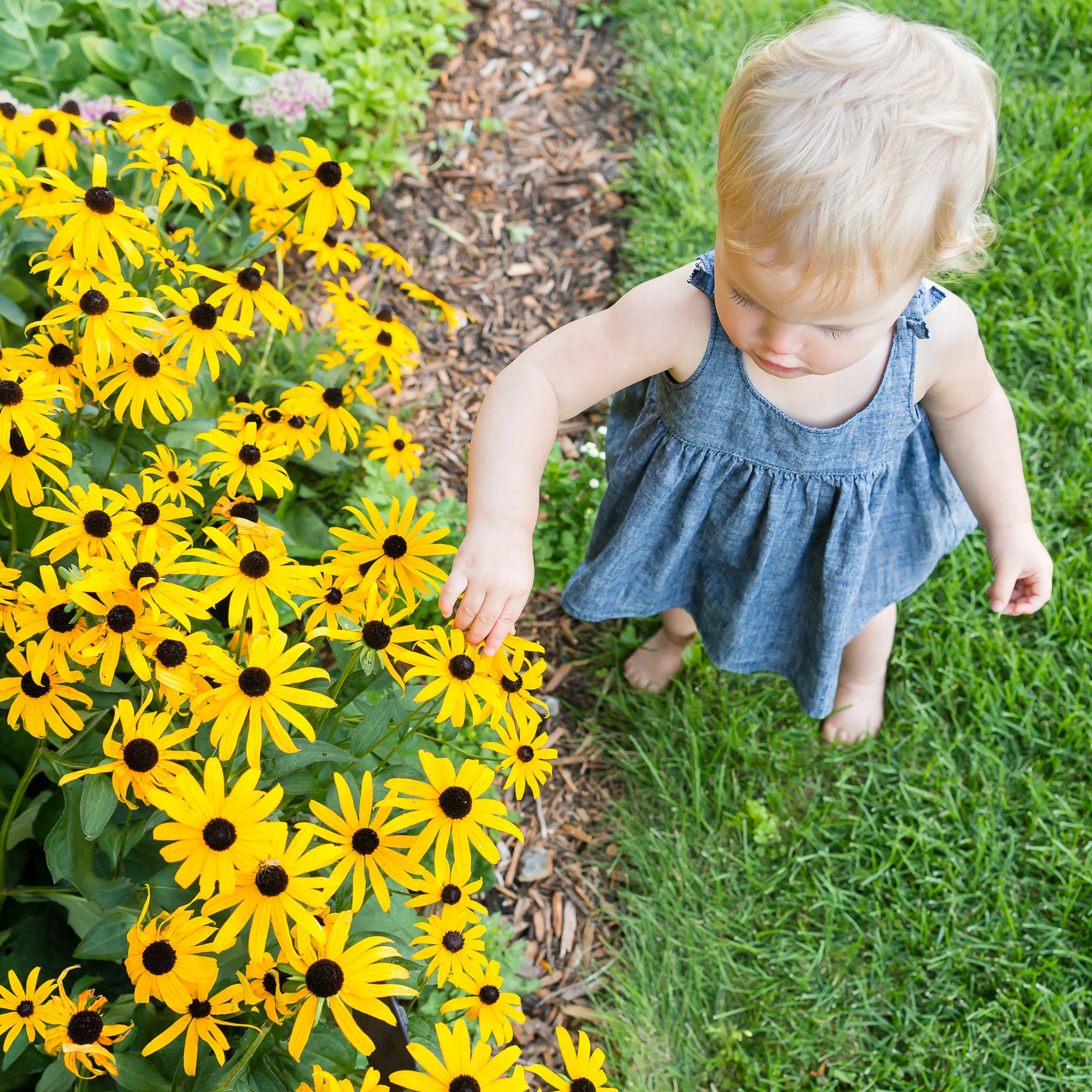 Image by Erika Hacker