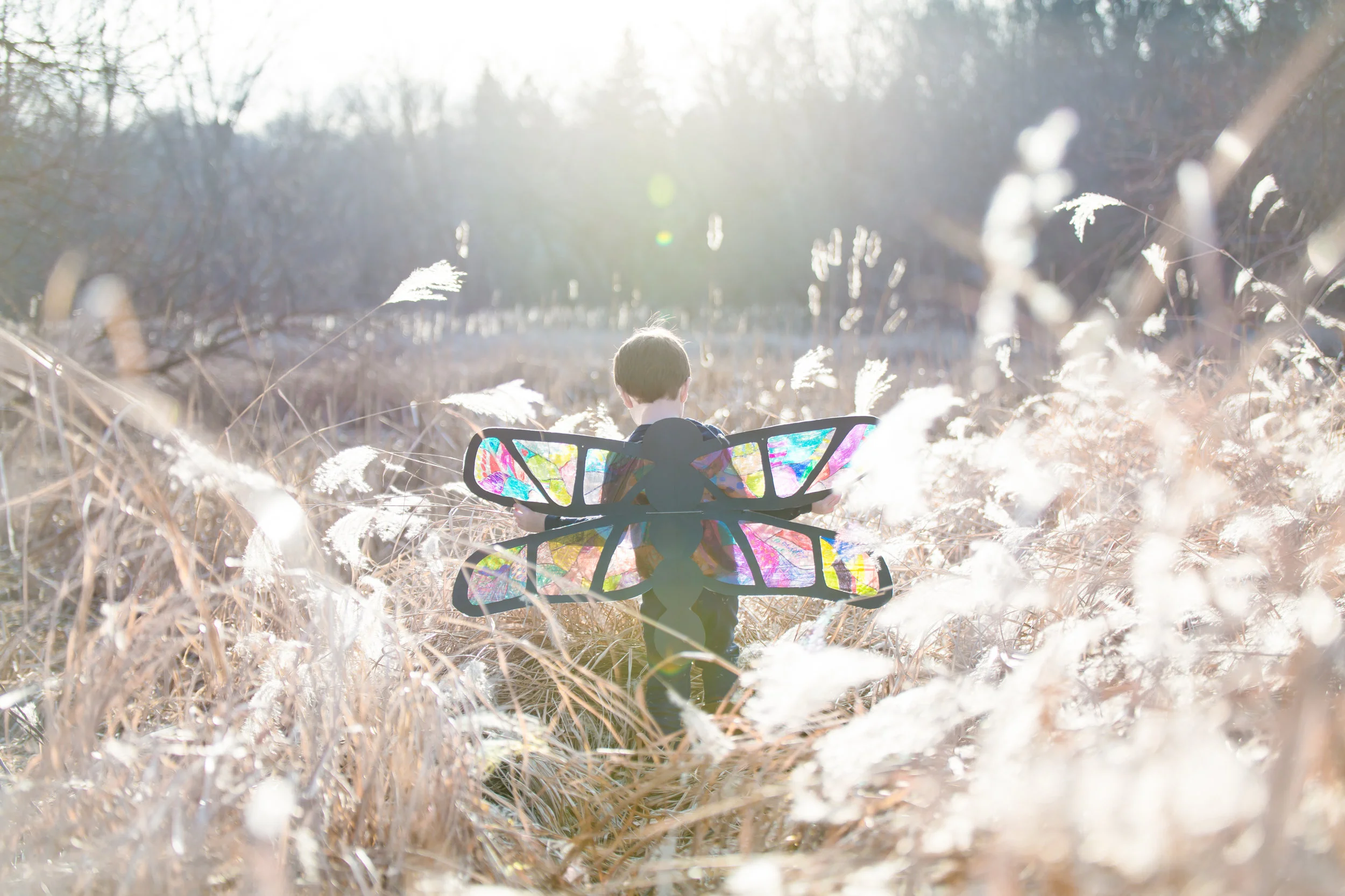 photo by Jill Emmer, Shine On Photos