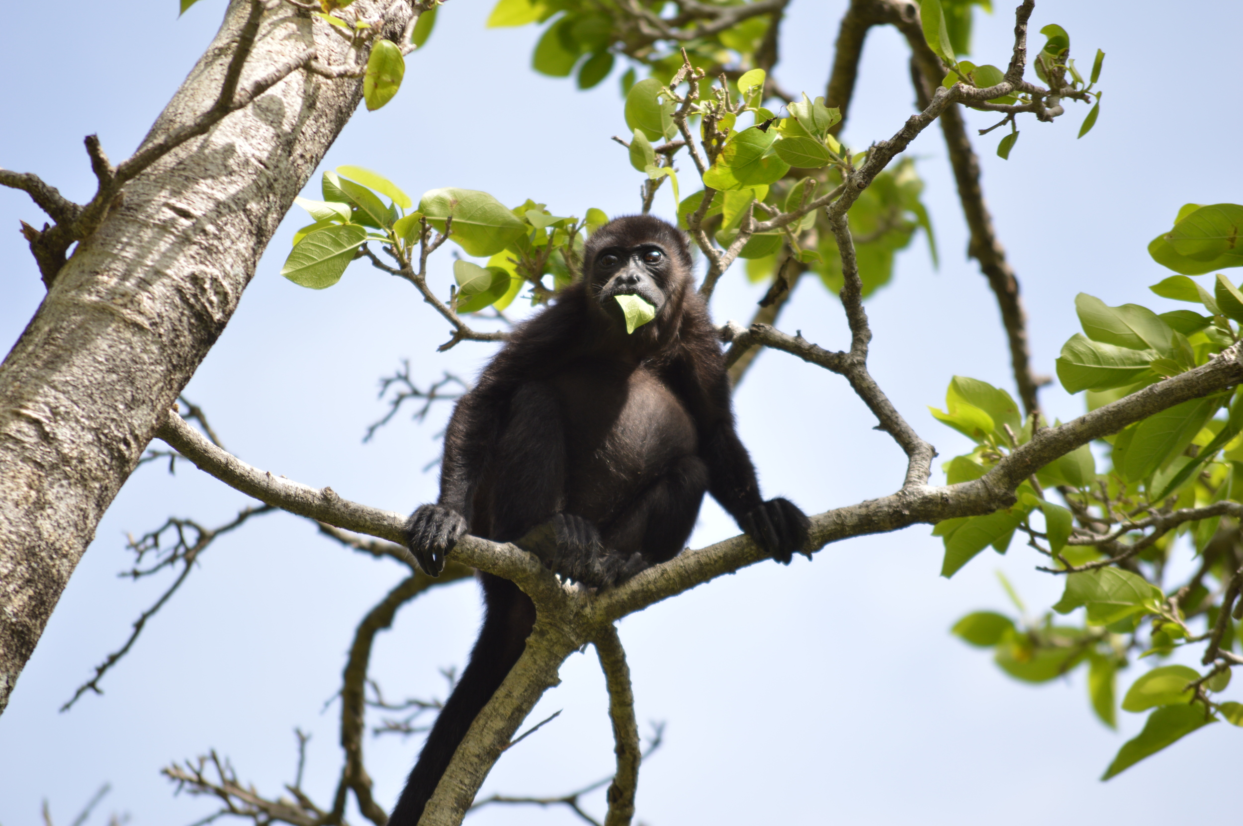 Nicaragua 2015 (240).JPG