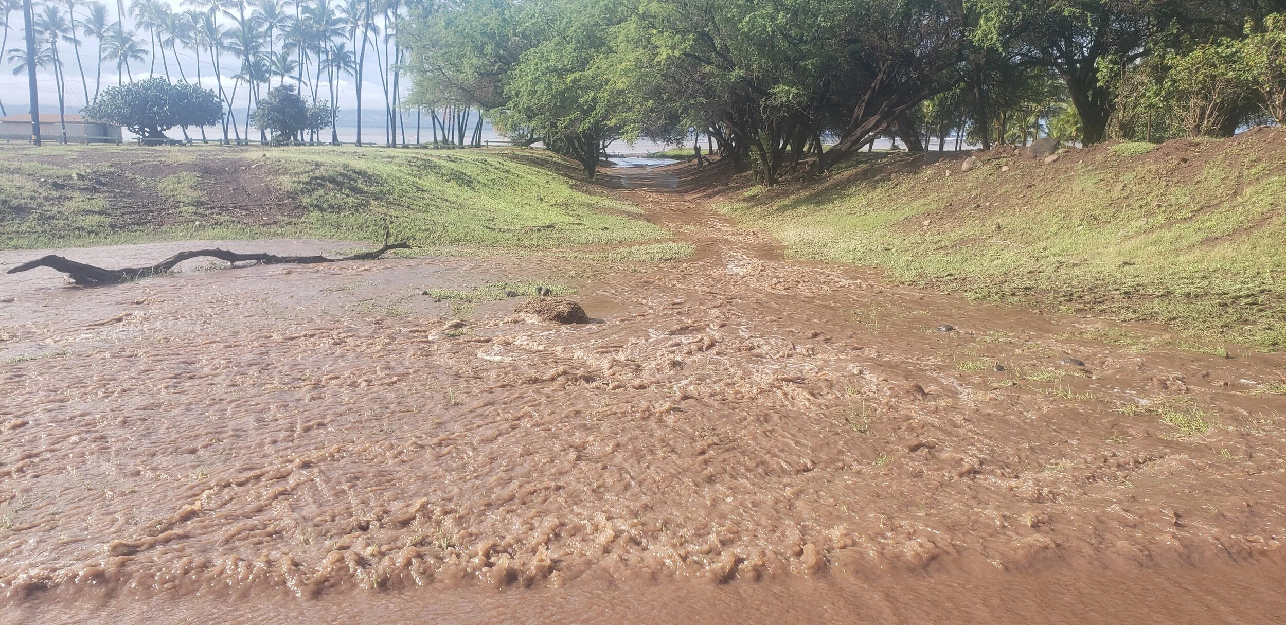 Dirty Water From Storms Will Clean Up Fast