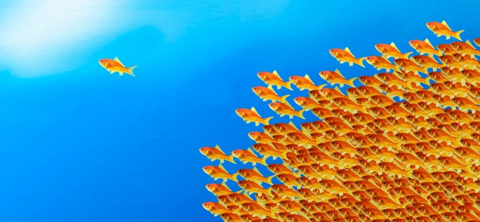 Continuing the Conversation: What is true leadership?