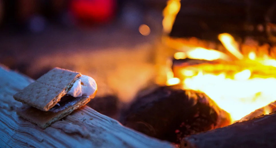 JVC Picnic Point Bonfire