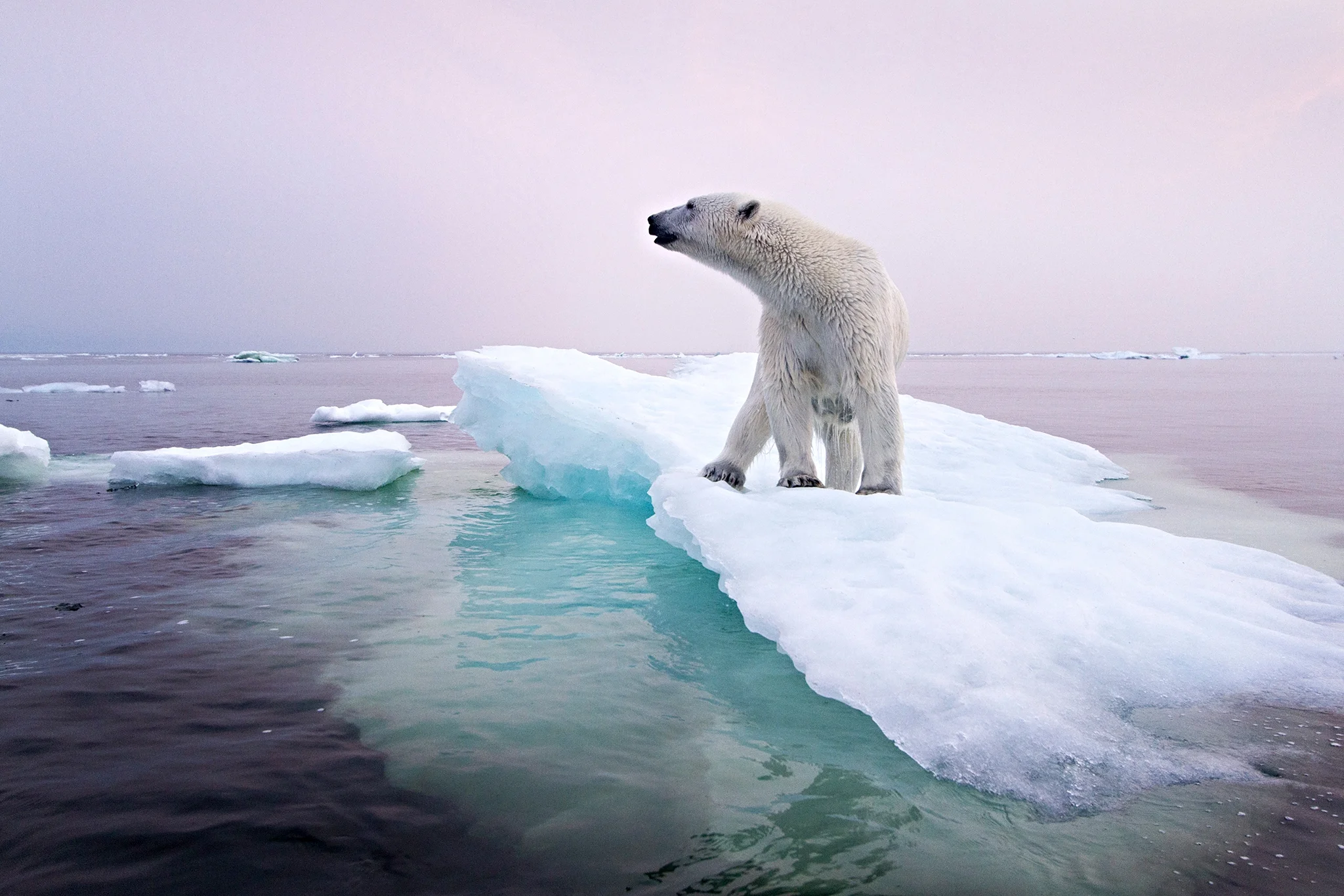NRDC_2.jpg