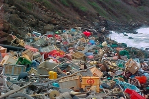 ocean-plastic-waste1.jpg