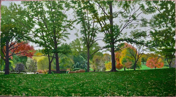 Observe and Reflect: Kansas City's Richard Mattsson