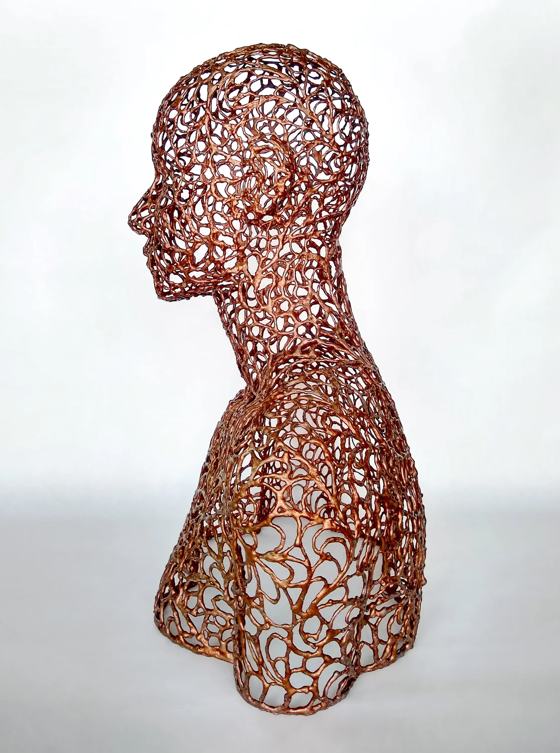 A Certain Kind of Armor Closing Reception