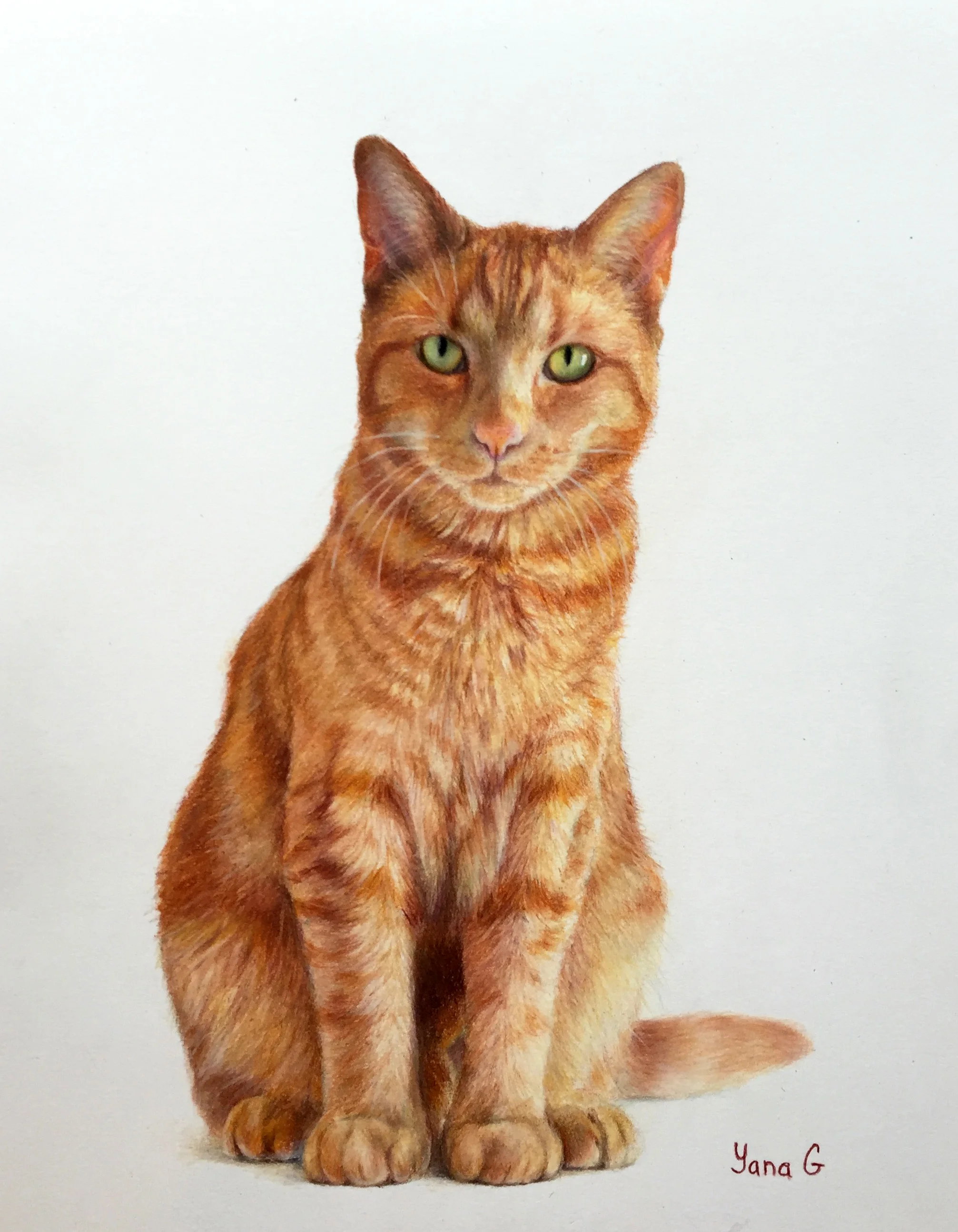 Ashby 11x14 Colored Pencils