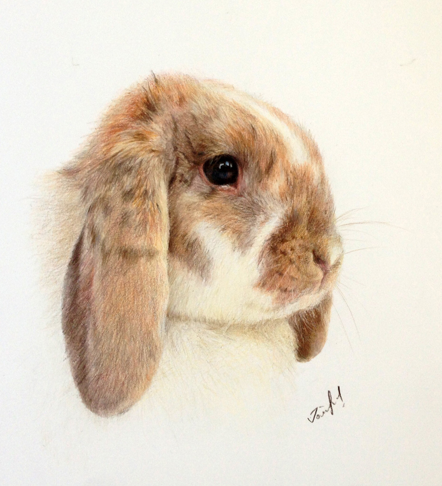 Milla 9x12 Colored Pencils