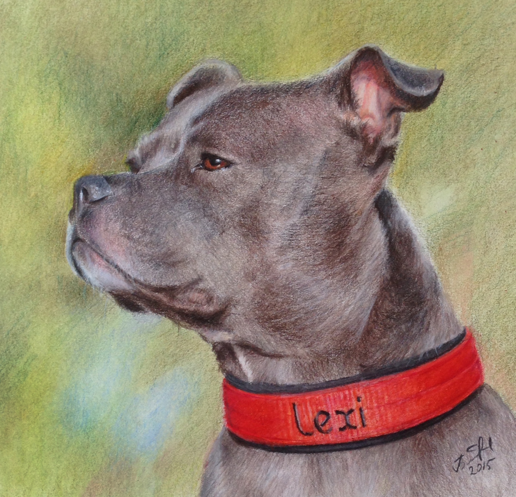 Lexi 8x8 Colored pencils 