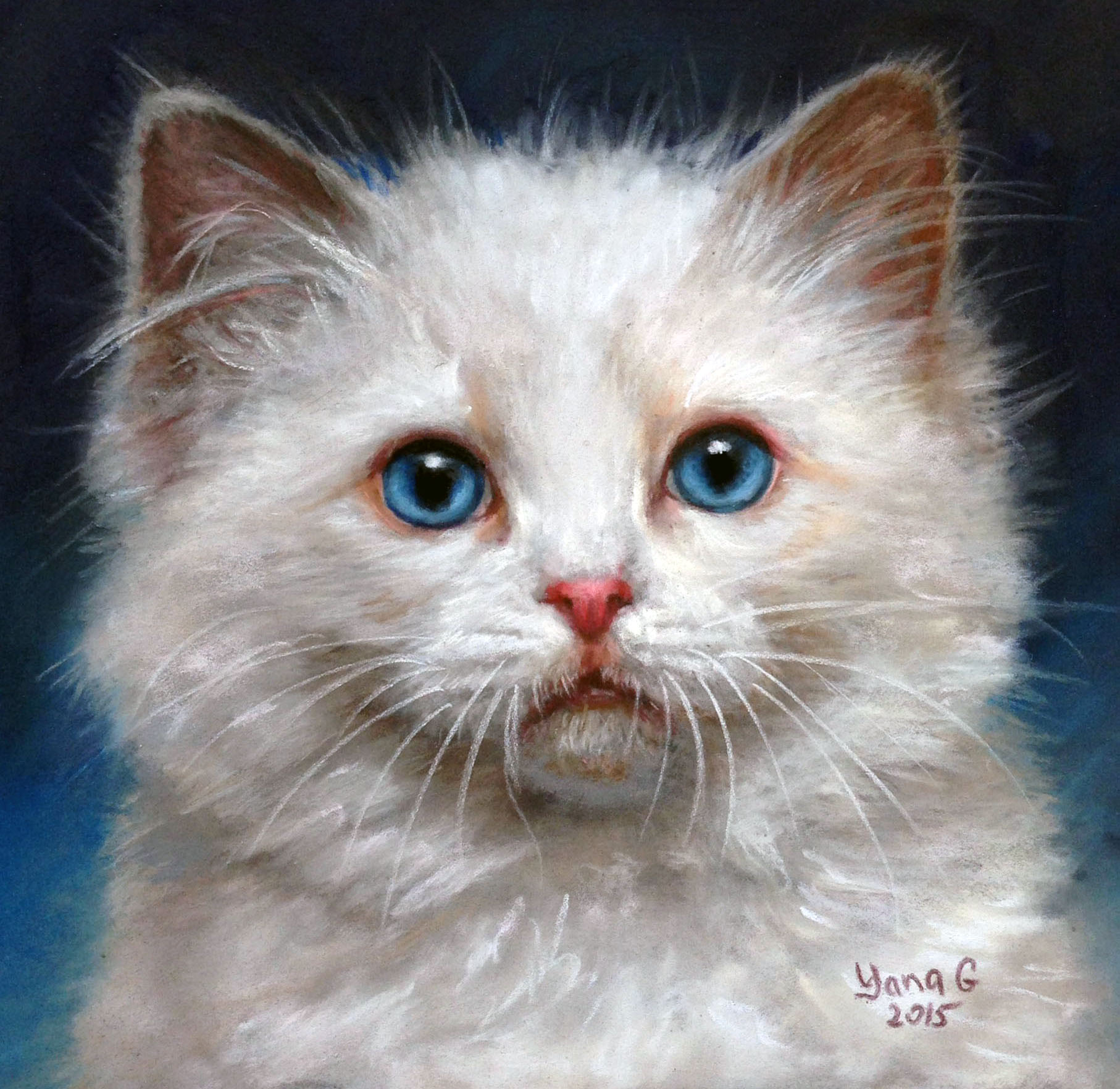 White Kitten 8x8 Pastel