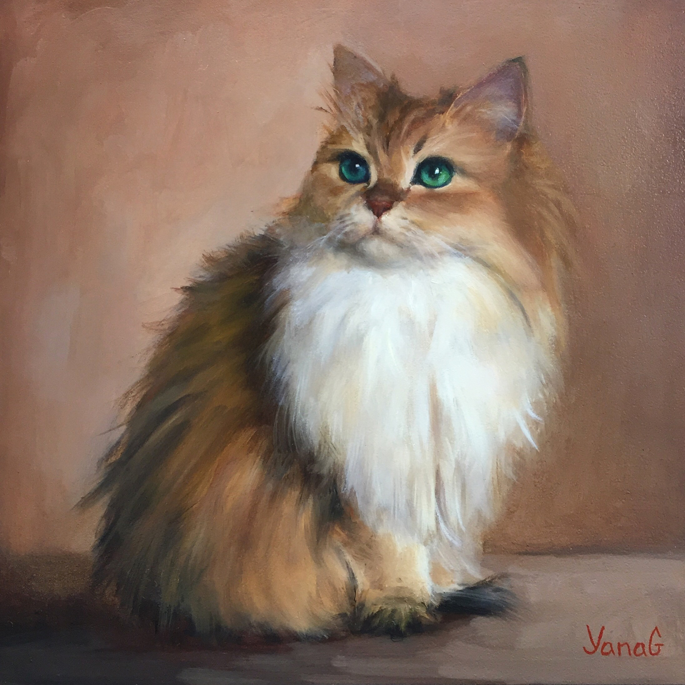 Smoothie the cat 8x8 Oil on board