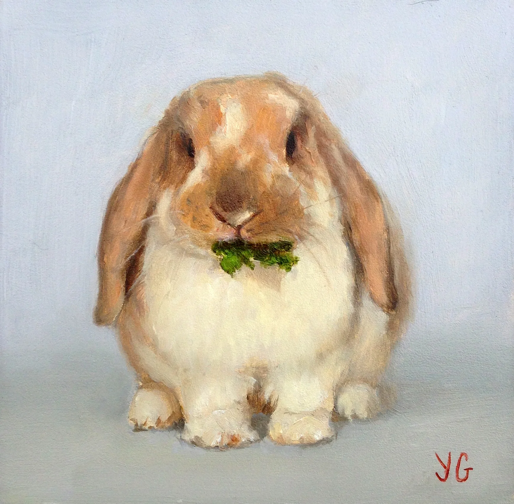 5x5 Oil