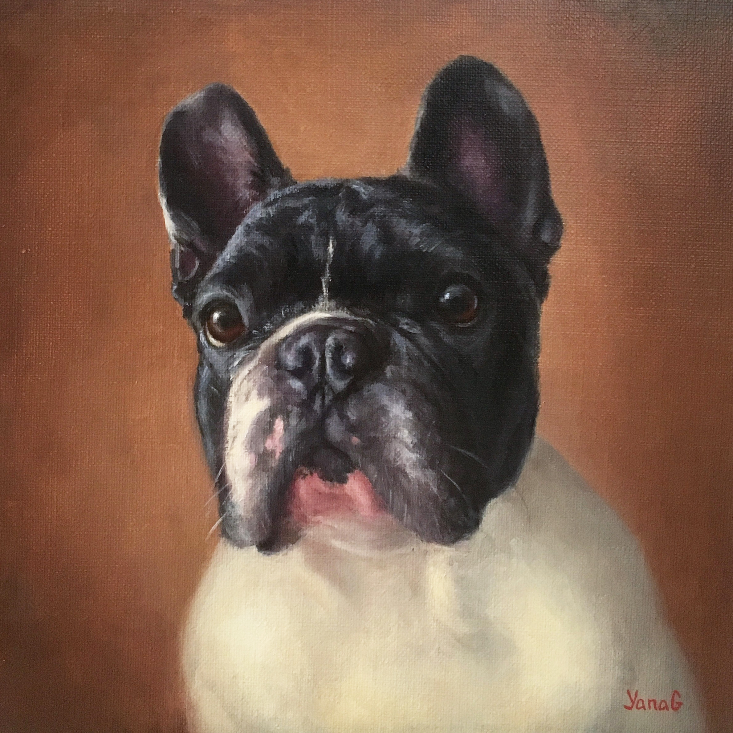 Zorro 10x10 Oil on linen