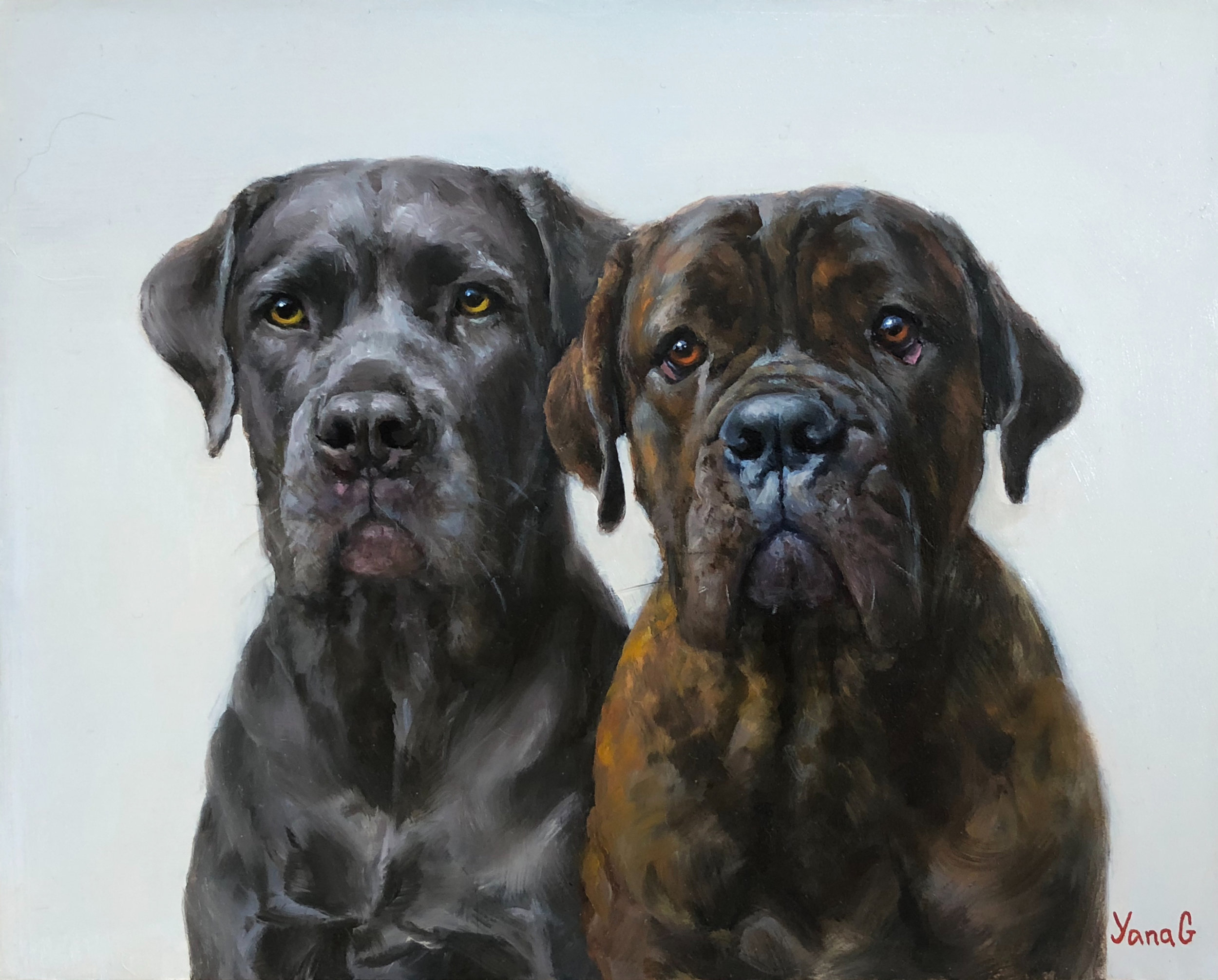 Tyson and Mai  8x10 Oil on board 