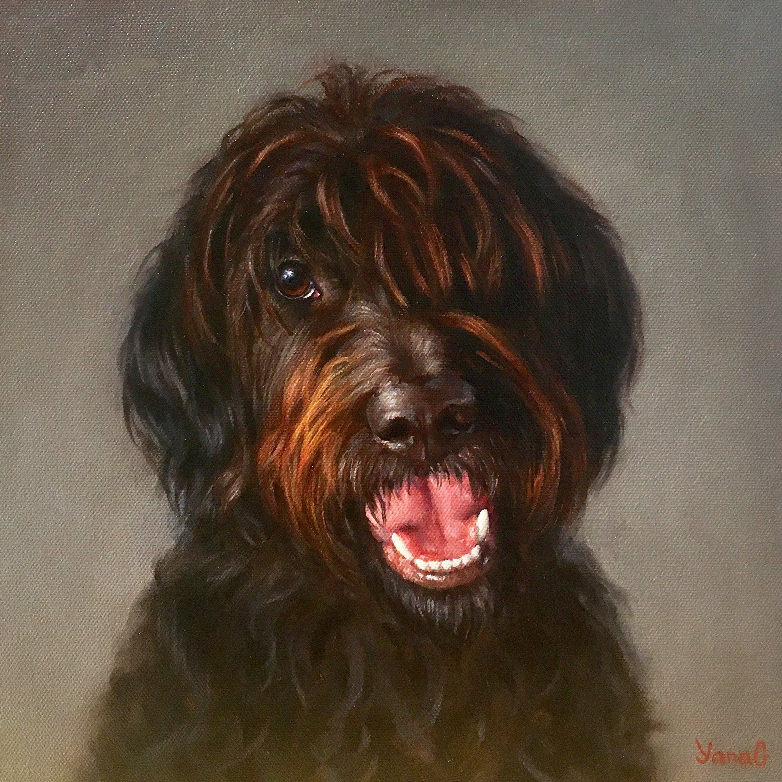 Charli 12x12 Oil on canvas