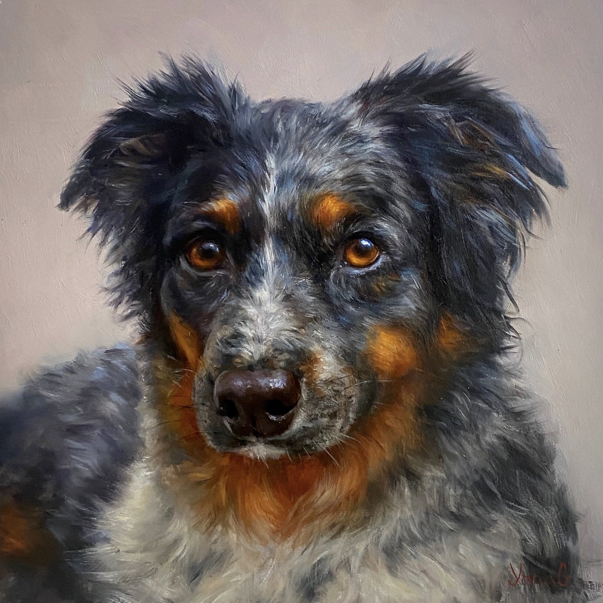 Macie 8x8 Oil on board