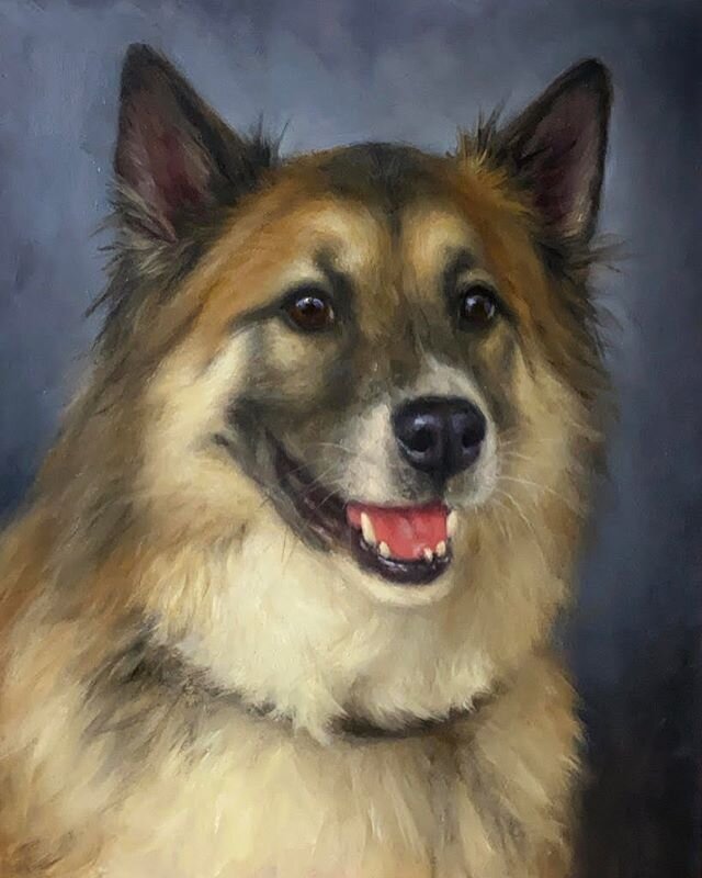 Memorial custom portrait of Sammy. He was adopted and had a great long life. 🌈 Oil on board. 8*10in