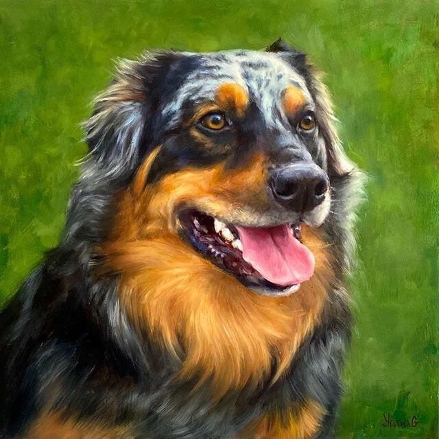 Memorial custom portrait of Stetson. He was only 3 years old 🌈🐶 Oil on board. 10*10in. Commissions are open