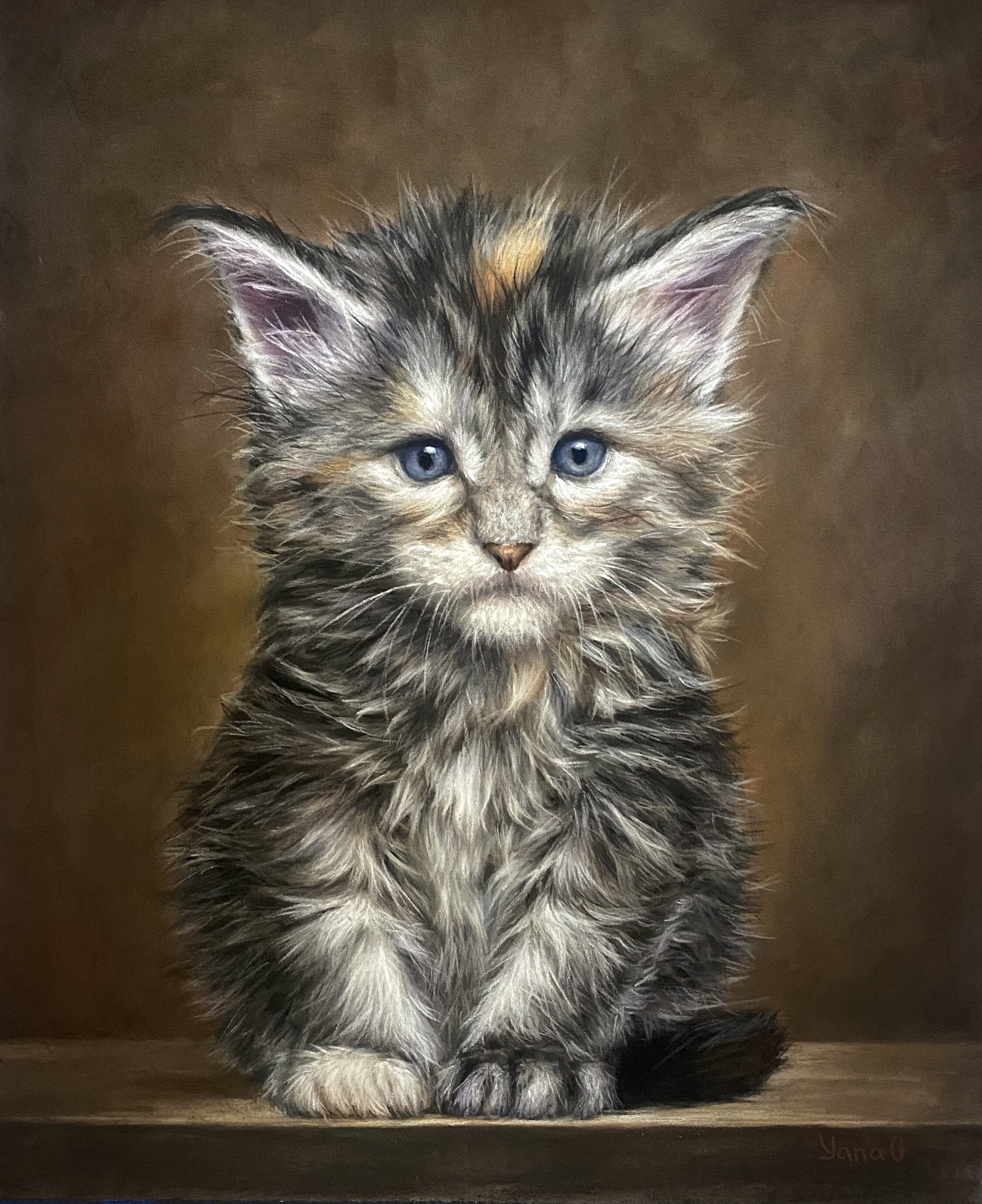 Maine Coon Kitten 11x14 Pastel