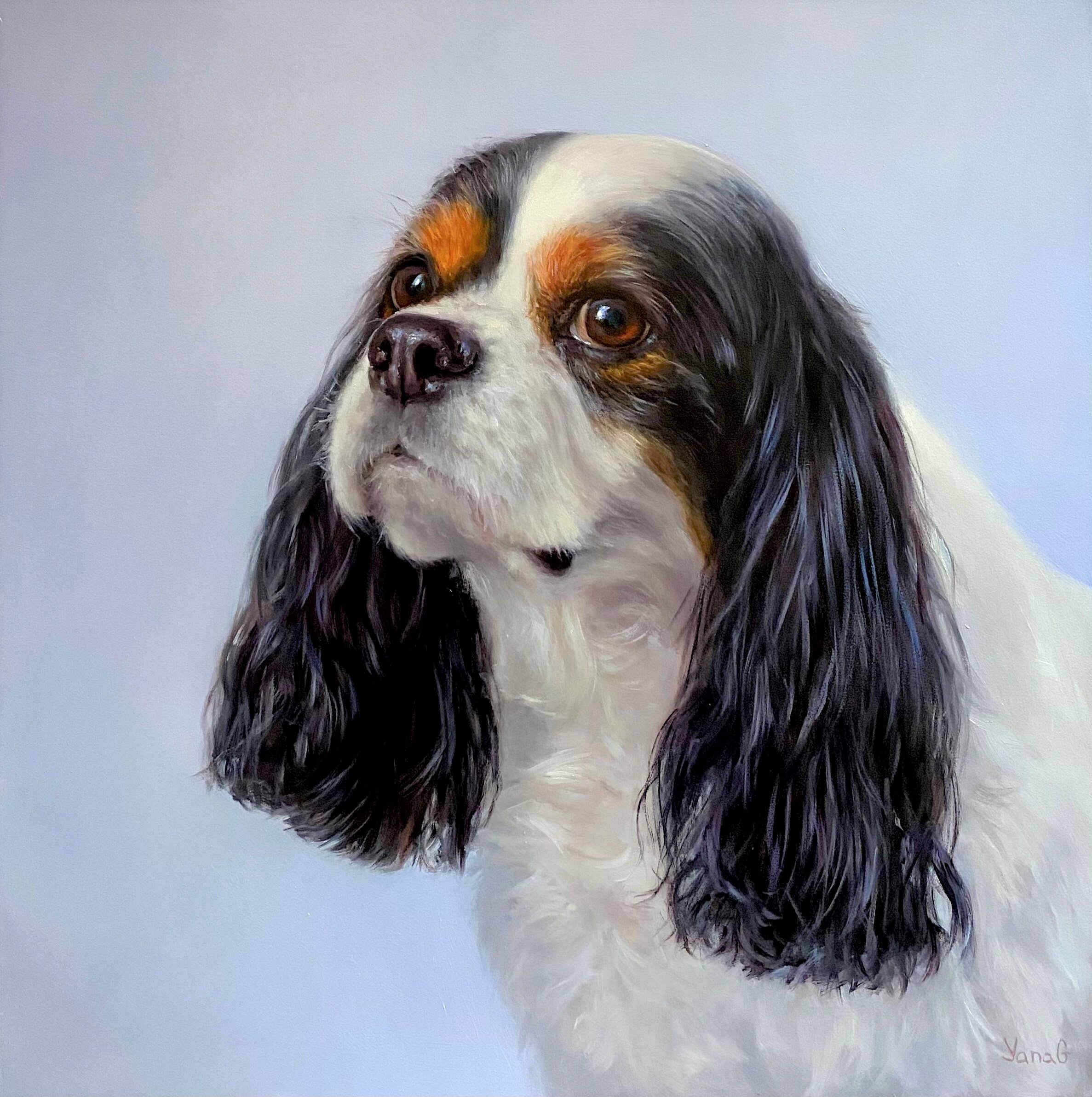 Lola 12x12 Oil on board 