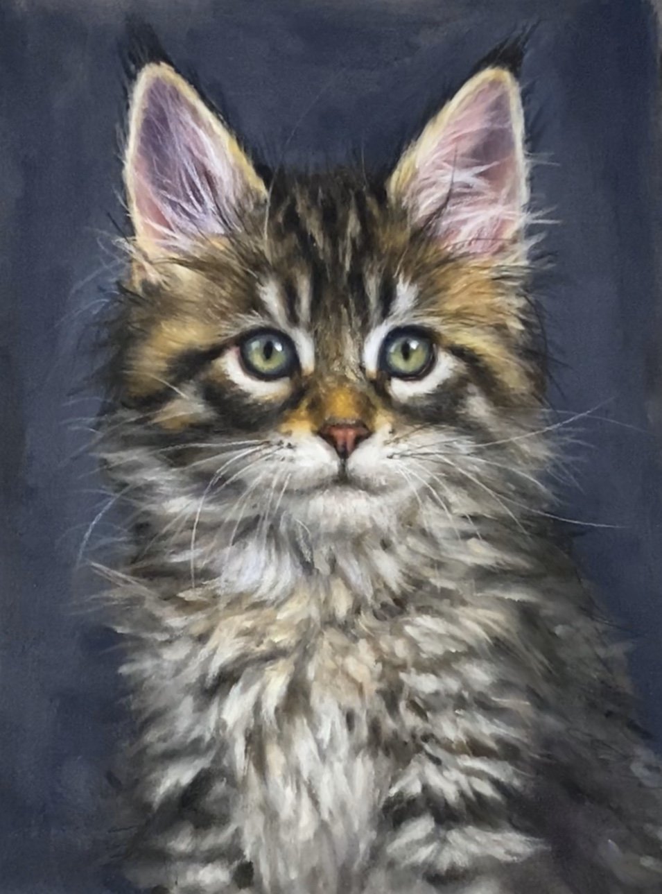 Kitten 6x8 Pastel