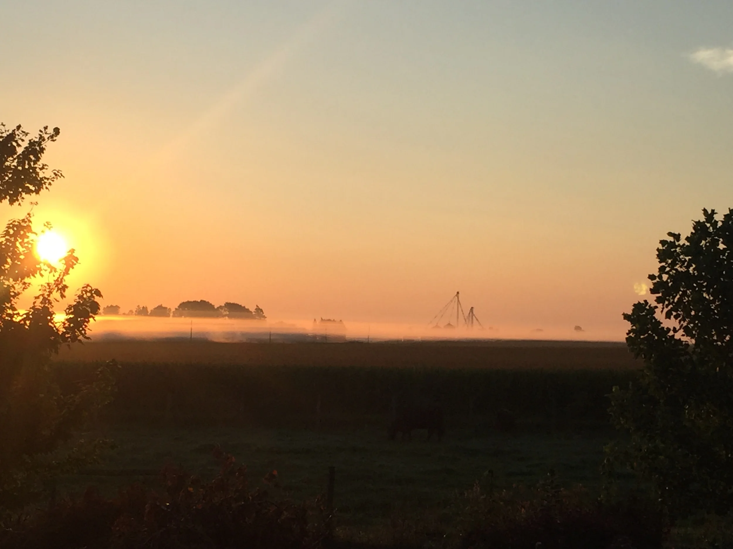 Sunrise in the mist