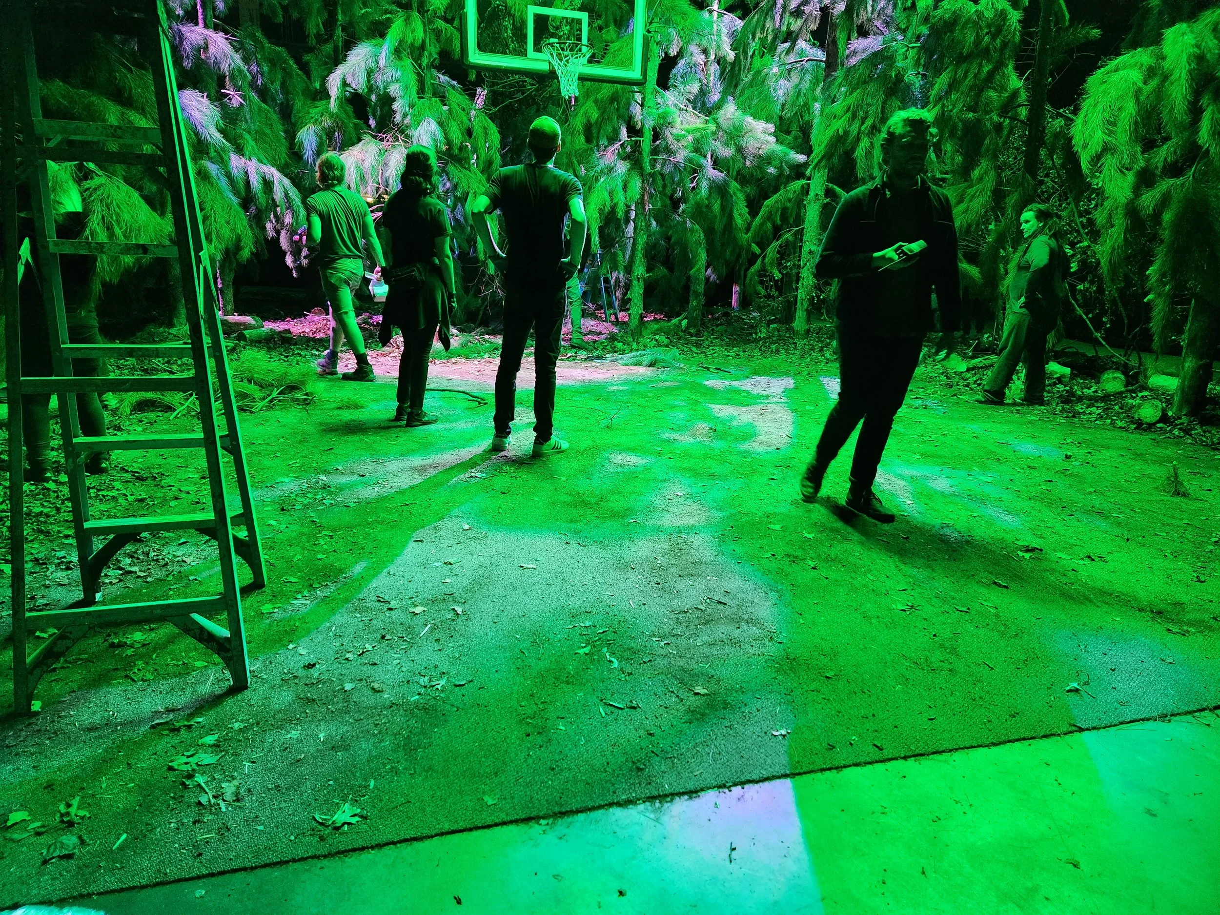 Media Day forest set created for the Minnesota Timberwolves