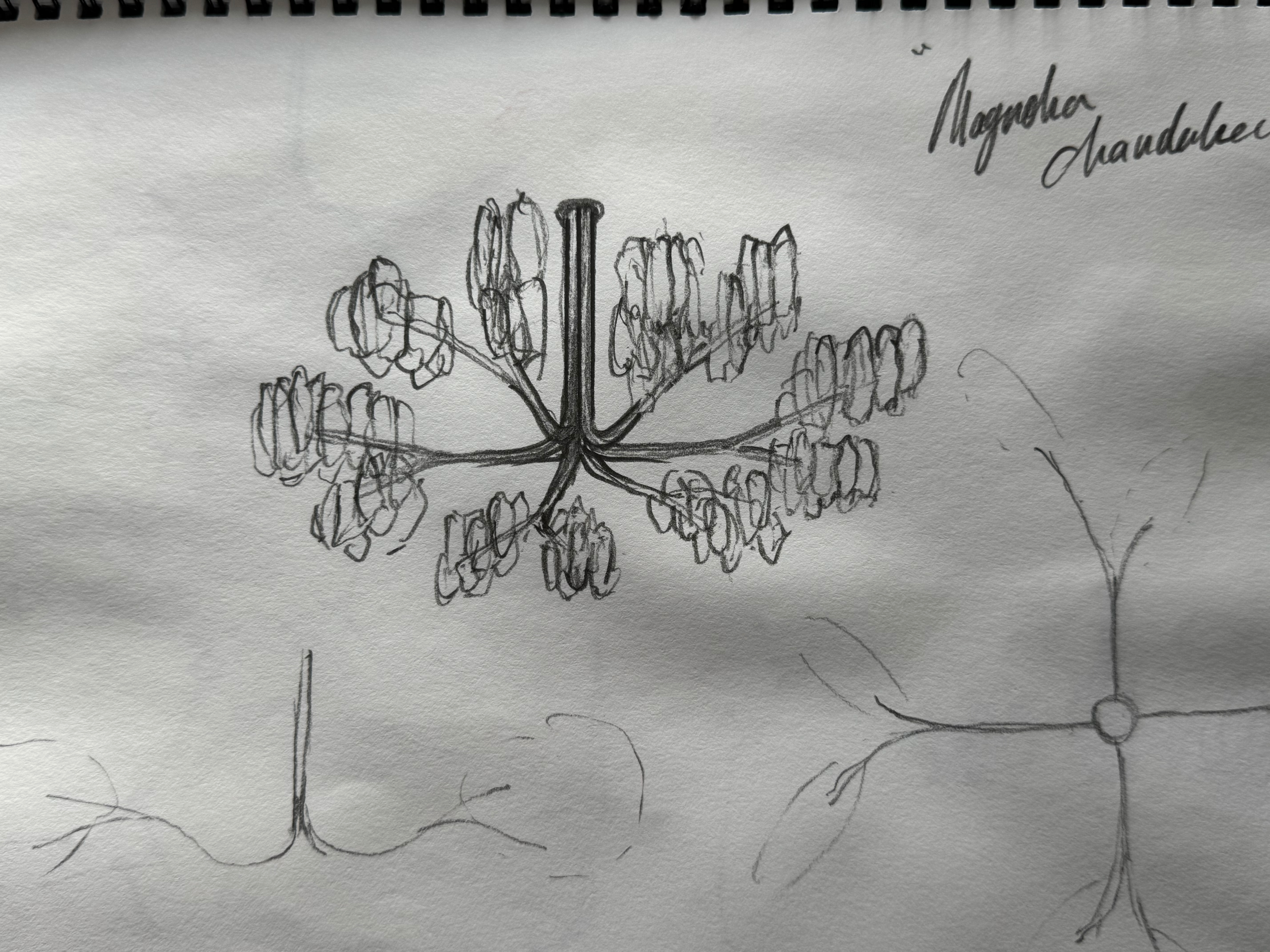 james-russ-magnolia2-sketch.png