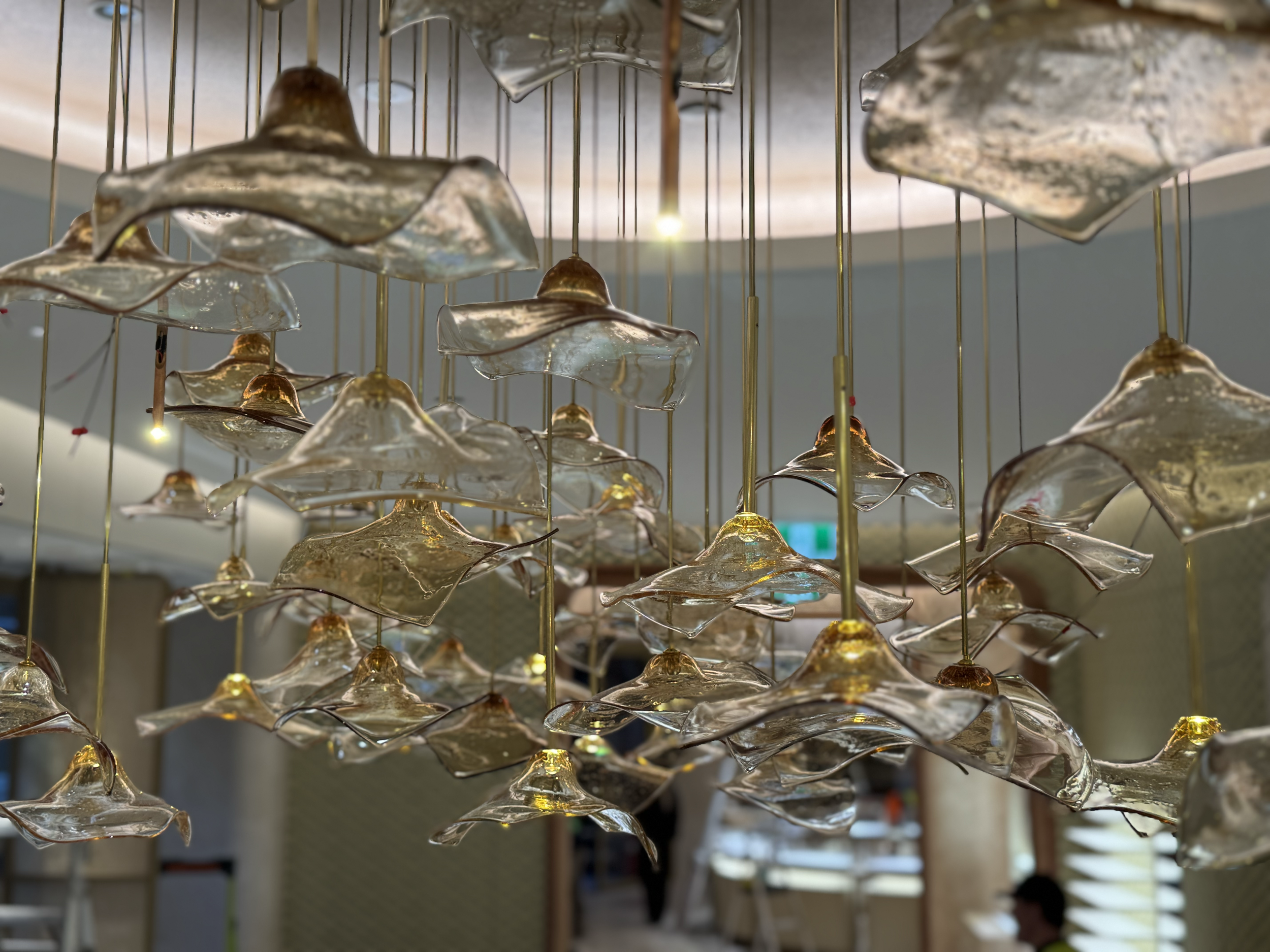 James-Russ-Cartier-Auckland2