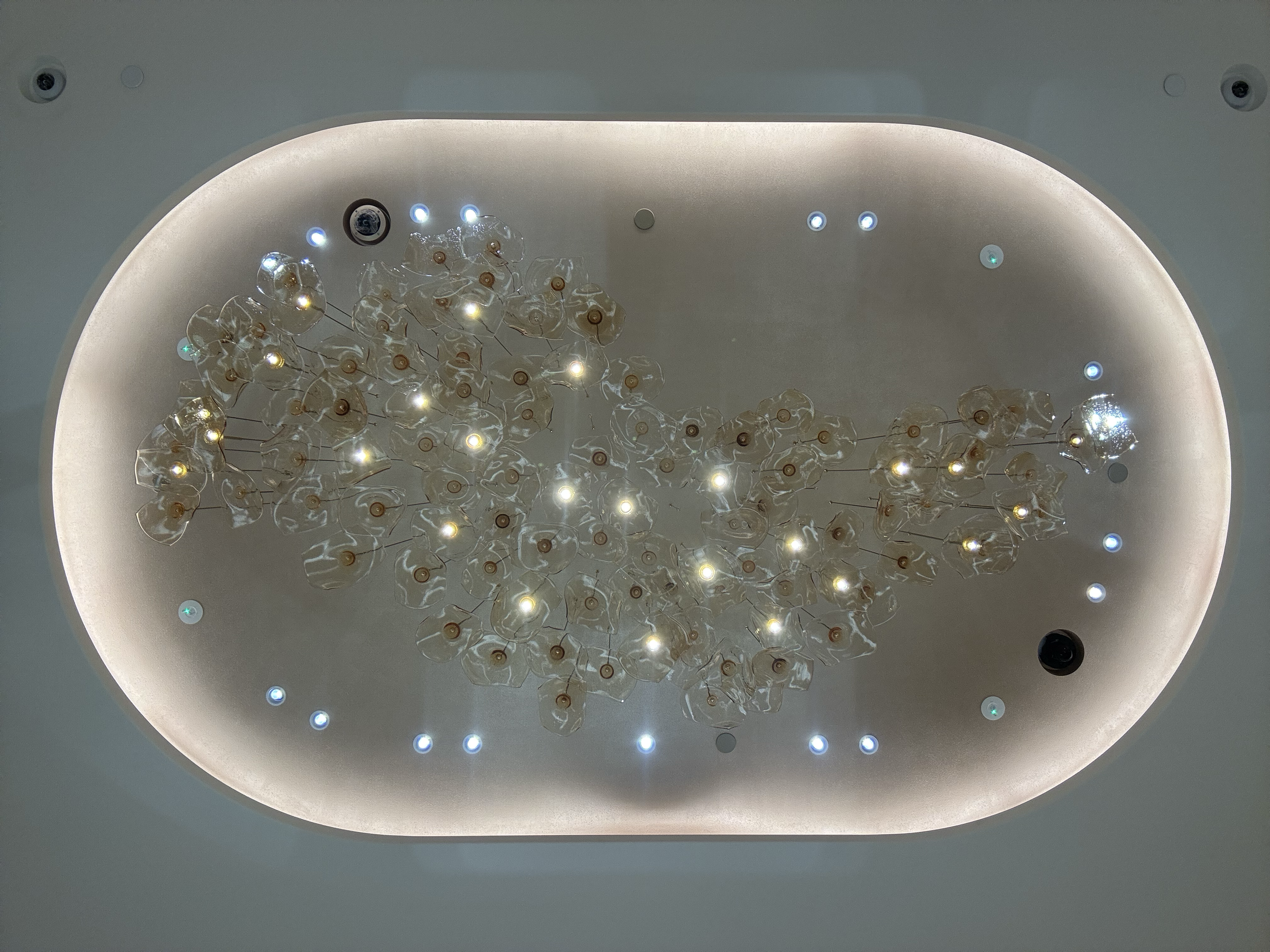 James-Russ-Cartier-Auckland