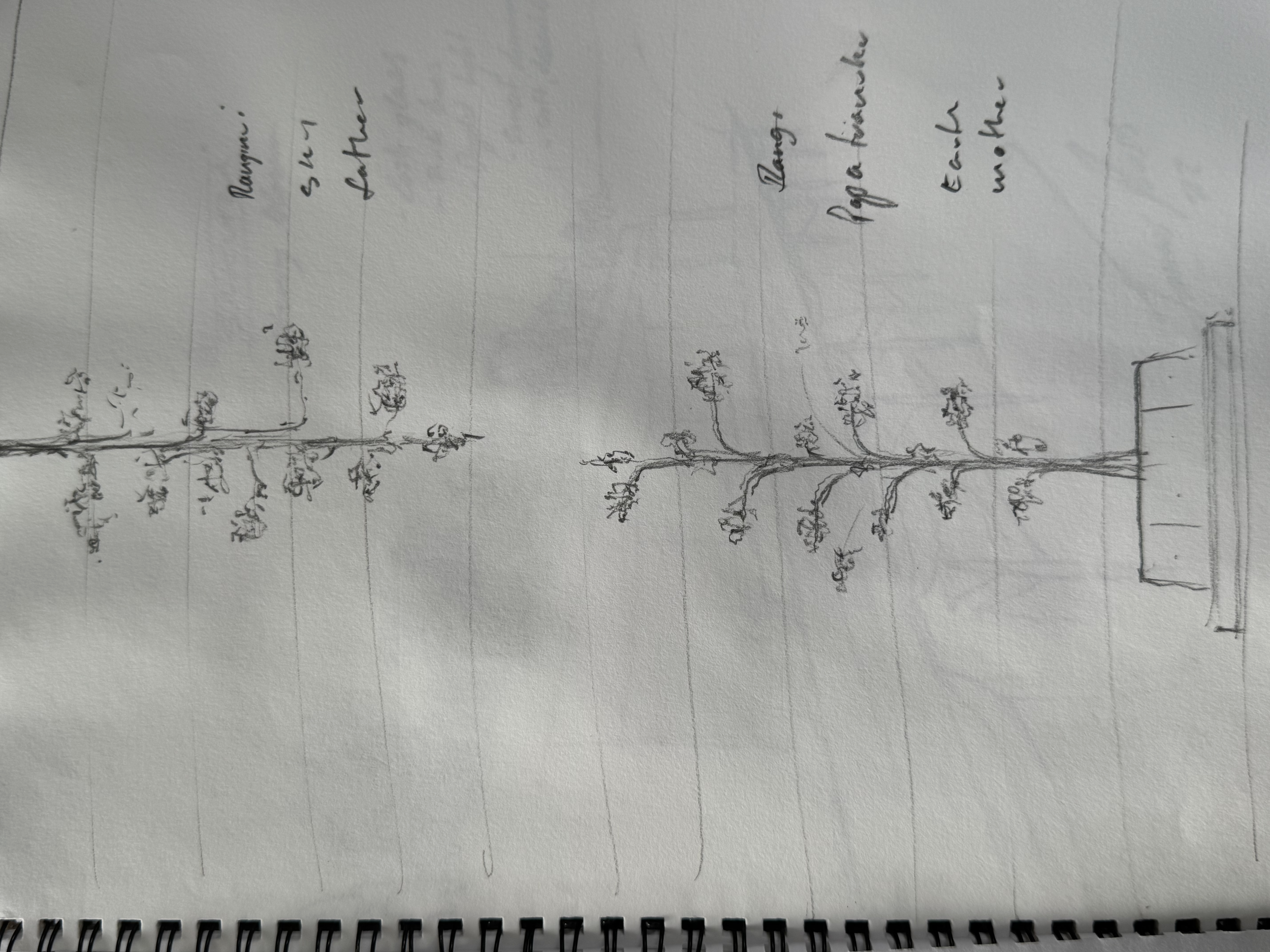 James Russ. A hand-drawn sketch on lined paper showing a diagram of a simple tree with notes and labels in cursive handwriting, next to a small rectangle that appears to represent a box or platform.