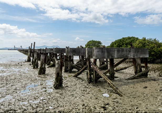 James Russ Portland wharf, Old, weathered wooden pier partially submerged in muddy shoreline with green trees and a partly cloudy sky in the background.