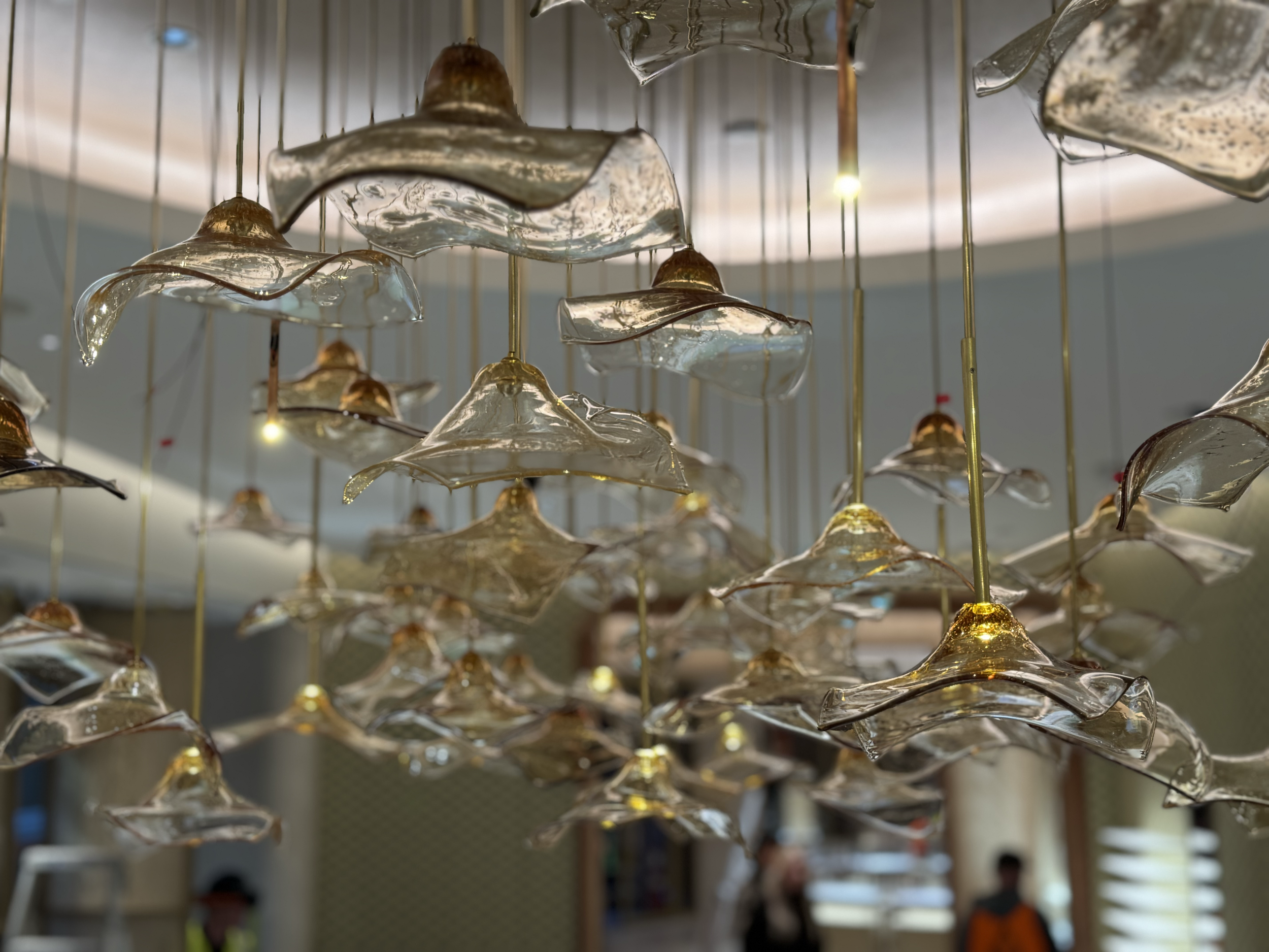 James-Russ-Cartier-Auckland4
