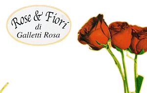 Rose e Fiore.png