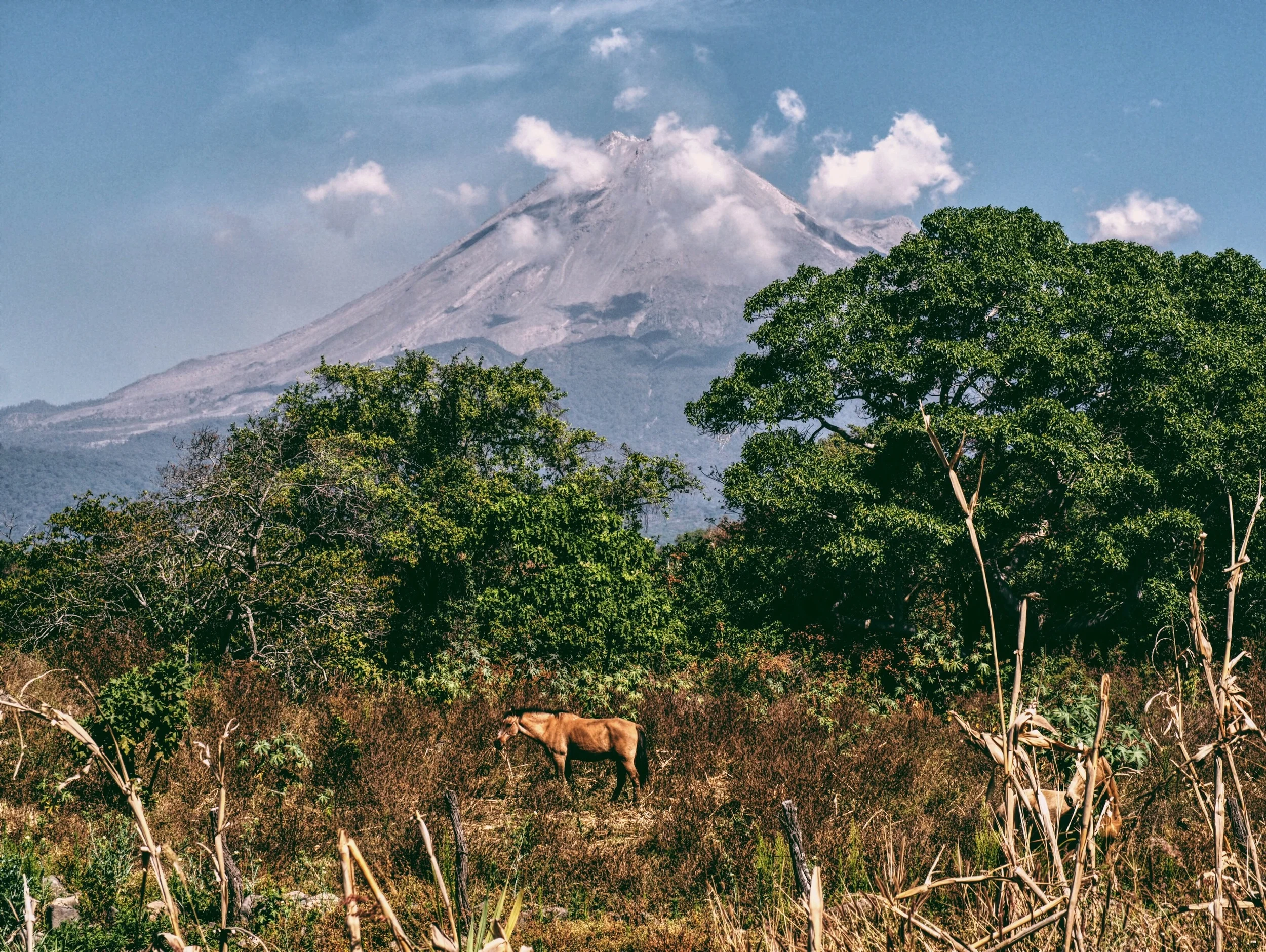 Volcan de Colima in the distance