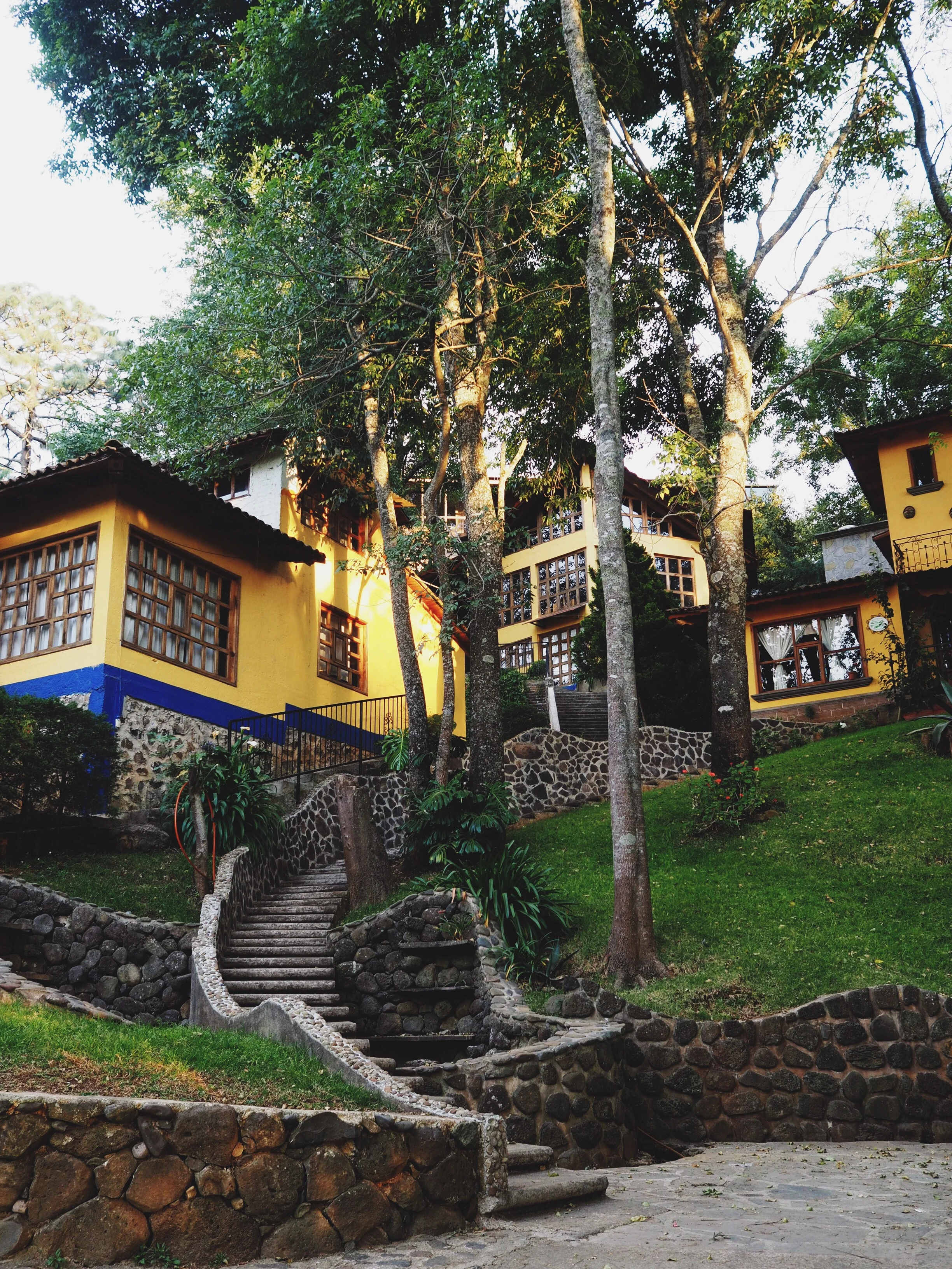 The beautiful grounds of our cabaña