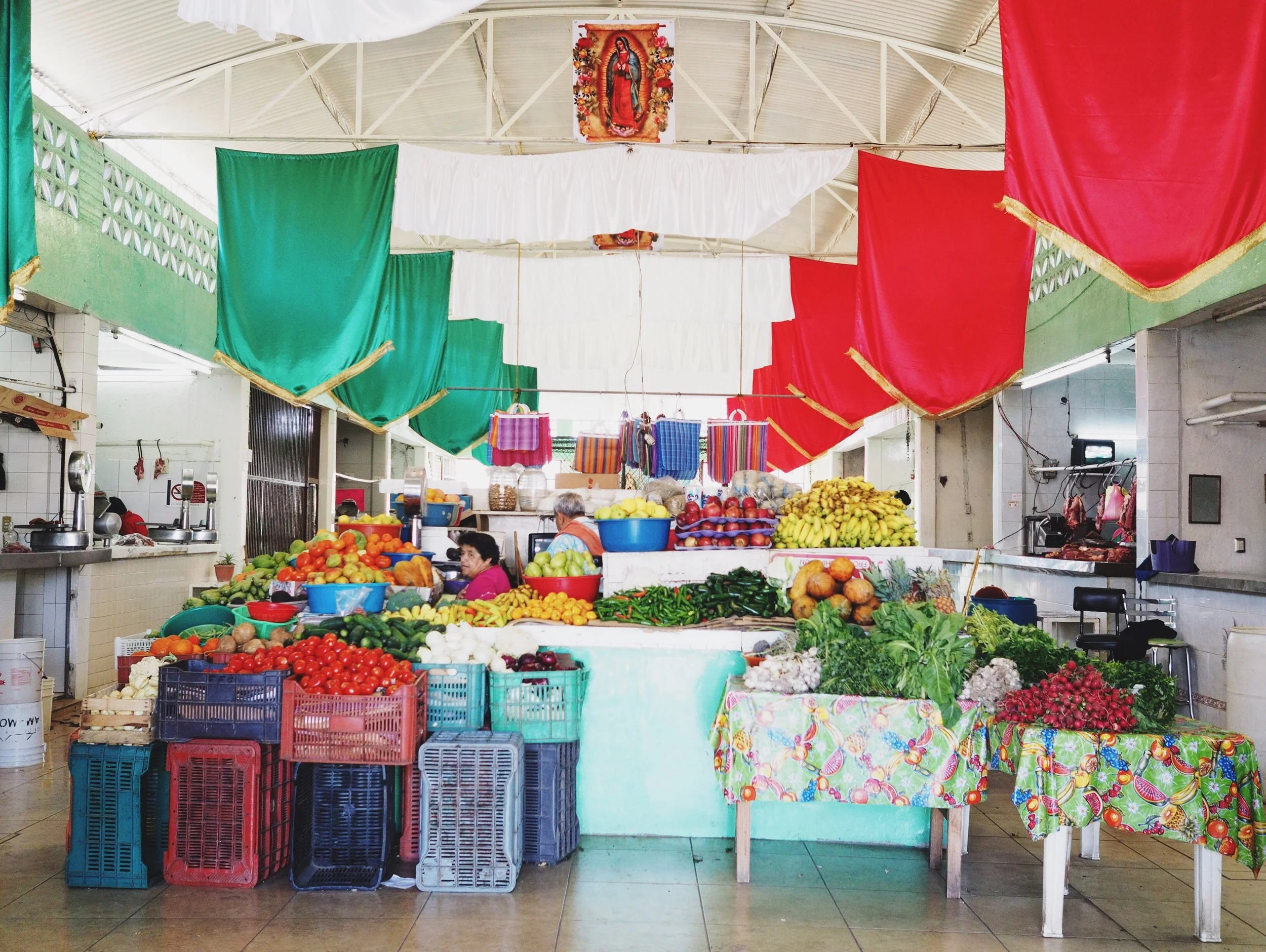 Picking up fresh produce for lunch in Vista Hermosa de Negrete
