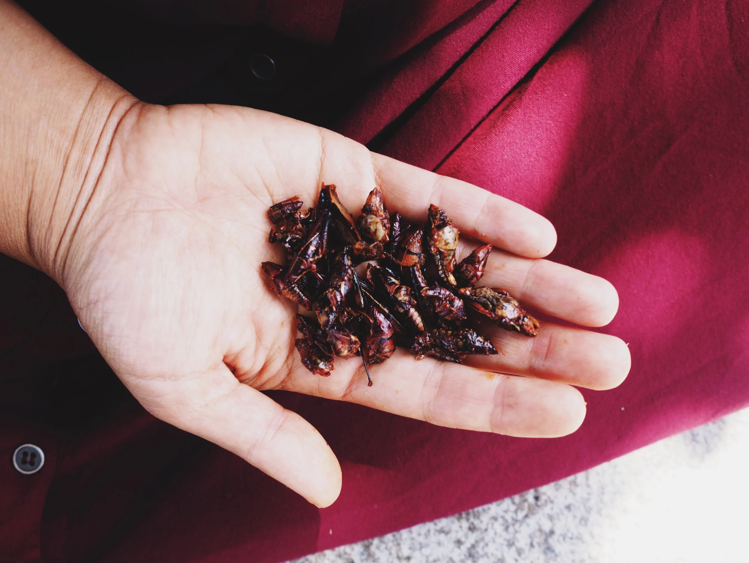 Chapulines – fried grasshoppers with chile and lime