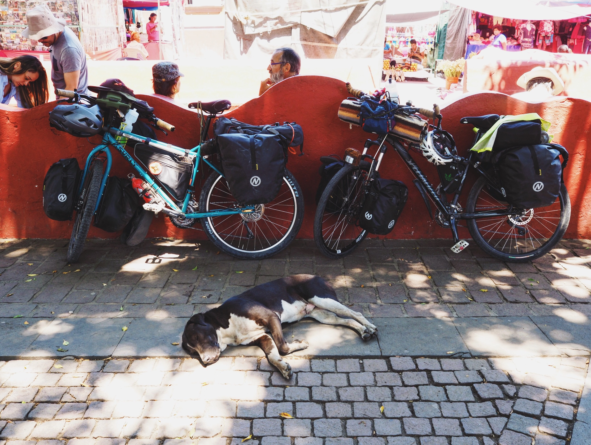 Snoozing dog while we had lunch in the plaza of Tepoztlan