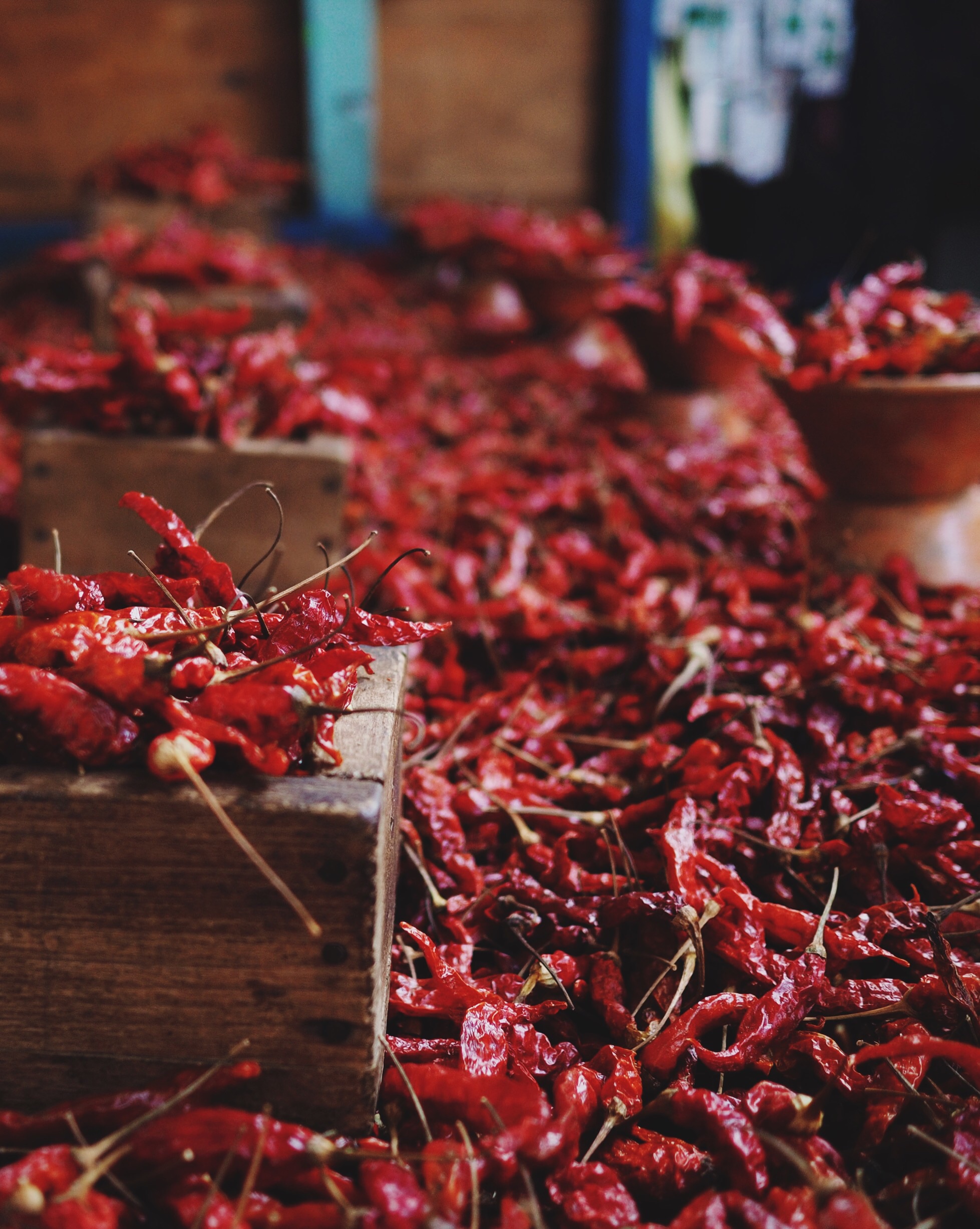 El Sabor de San Cristóbal