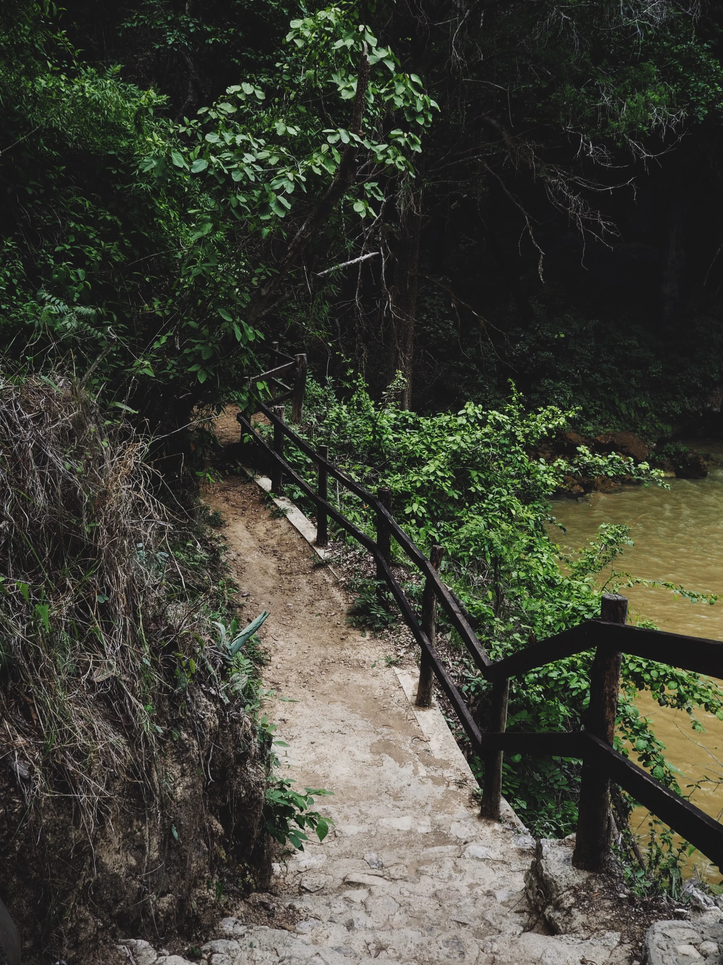 Pathway built along the river's edge gave access to the many falls and pools at El Chiflón