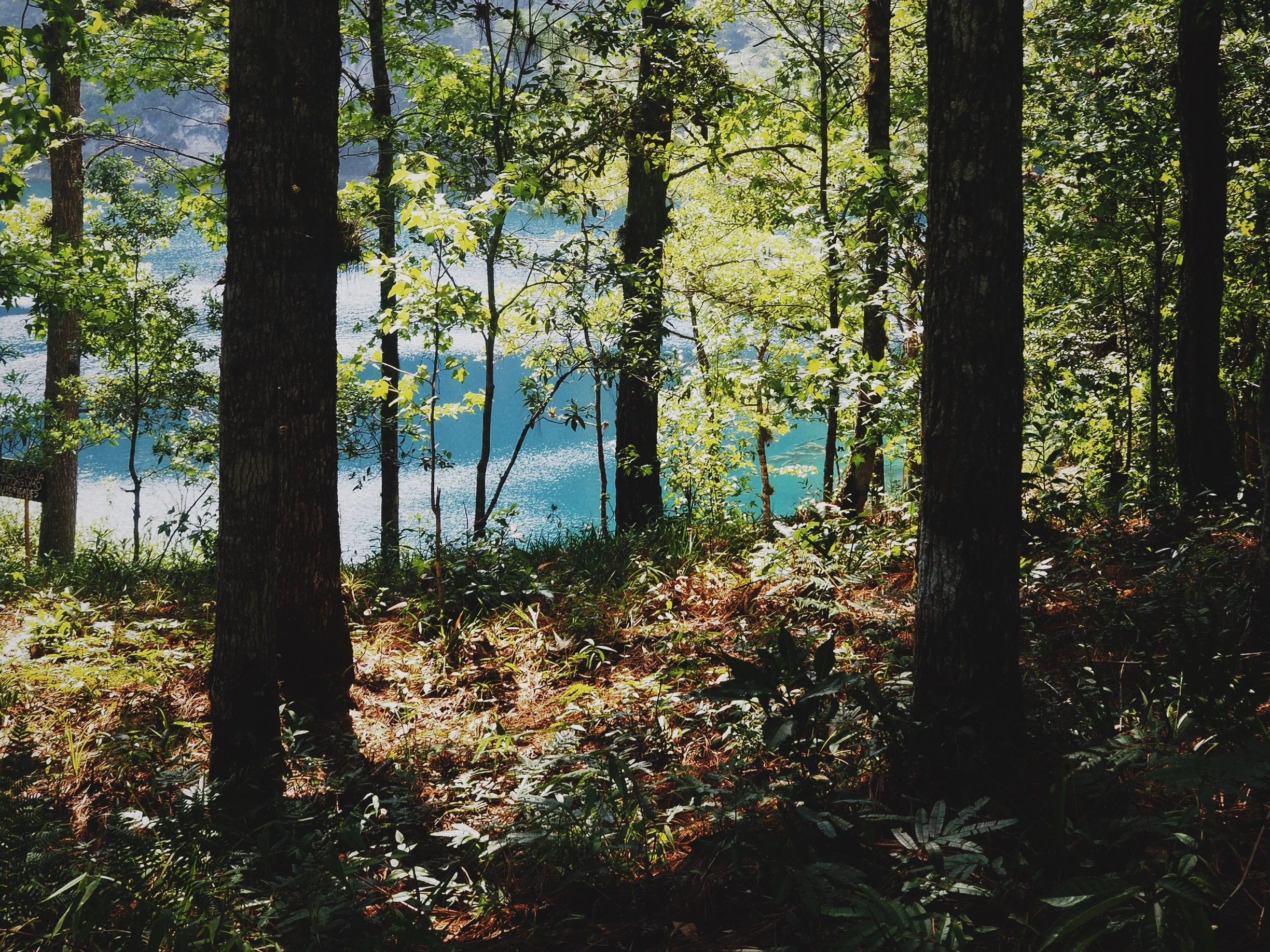 Where we made camp