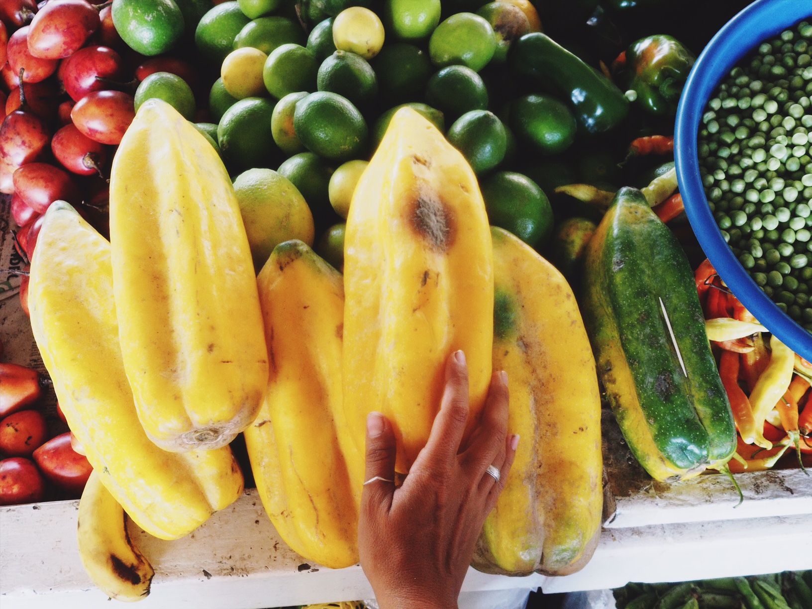 Exotic babaco fruit of South America, typically made into a drink